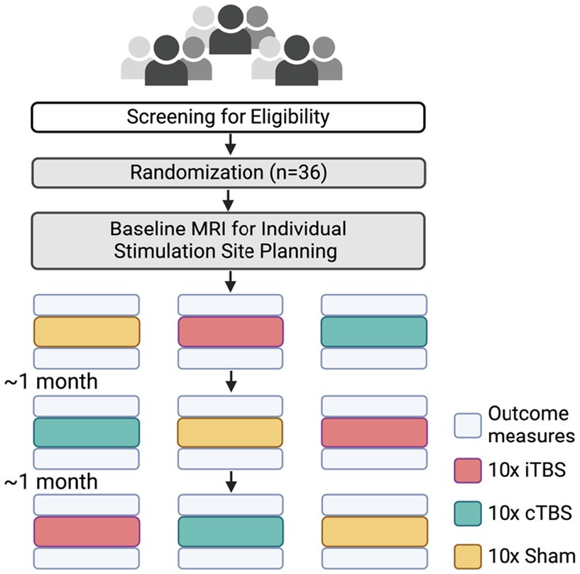 Flowchart illustrating a clinical trial process. Participants undergo eligibility screening, then 36 individuals are randomized. A baseline MRI is used for stimulation site planning. Participants undergo 10x intermittent Theta Burst Stimulation (iTBS) in red, 10x continuous Theta Burst Stimulation (cTBS) in green, and 10x Sham in yellow. The sequence of iTBS, cTBS, and sham stimulation blocks are randomized to prevent order effects. Outcome measures, shown in light blue, include DTI-ALPS and the FNAME cognitive outcome assessment. Outcome measures are collected before and after each stimulation block, with a one month wash-out period between each stimulation cycle.
