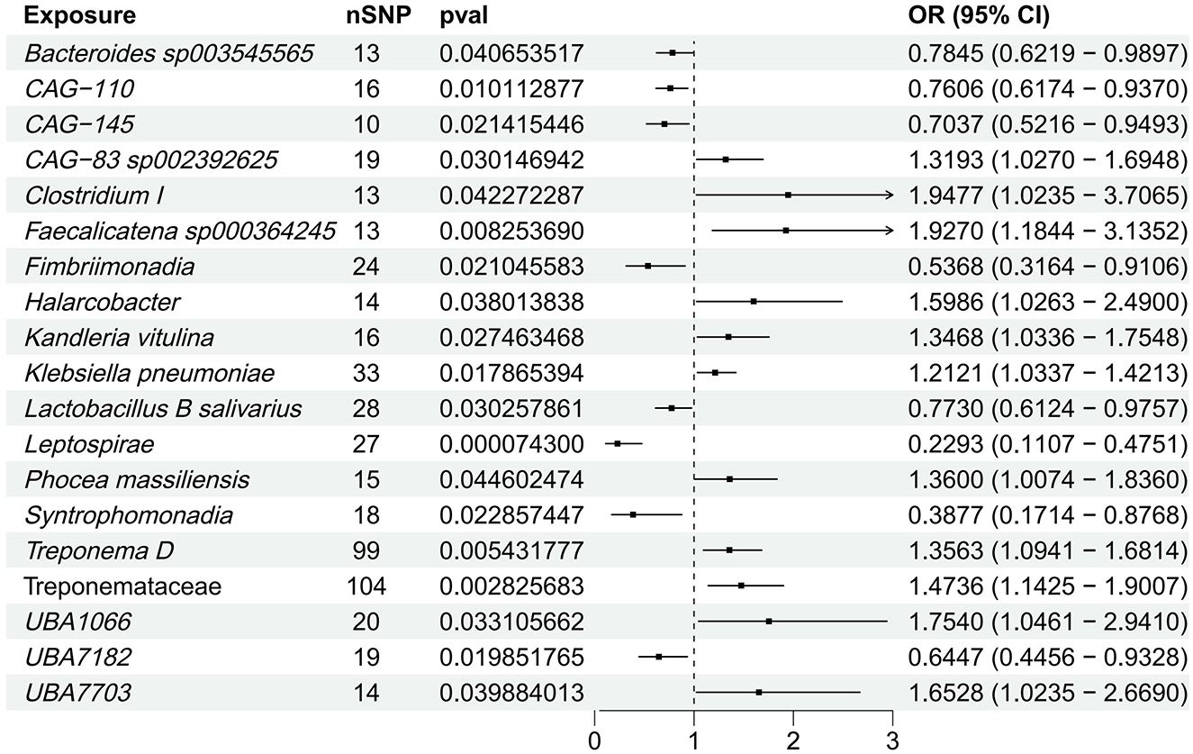 Forest plot displaying exposures with corresponding nSNP, p-values, and odds ratios (OR) with 95% confidence intervals. Arrows indicate significant increases in OR for “Clostridium I” and “Faecalicatena sp000364245”. Other exposures show varied ORs, with some below 1, notably “Leptospirae” and “Fimbrimionadia”, indicating decreased associations.