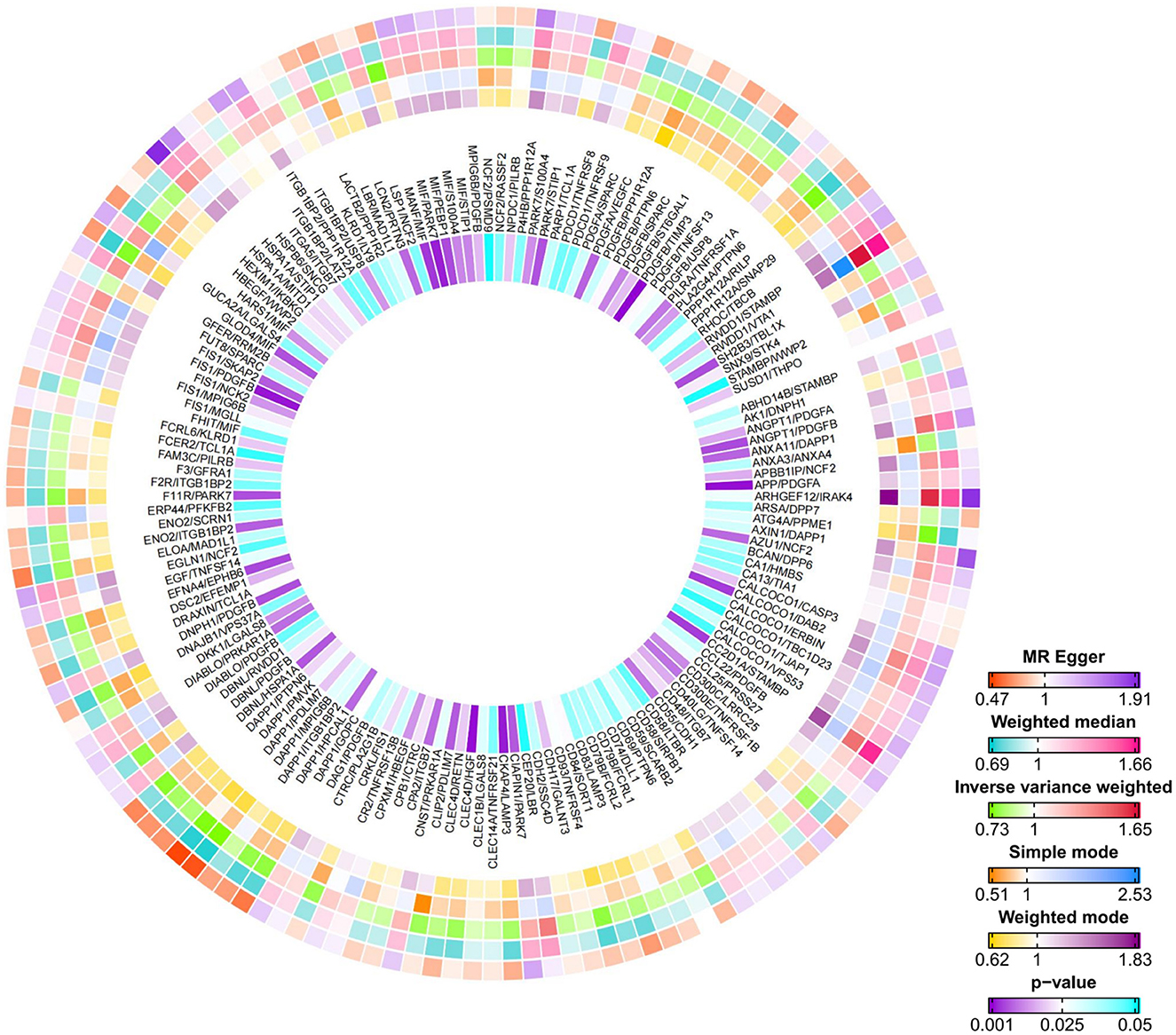 Circular diagram with concentric rings displaying gene names. Colorful squares represent genetic data analysis methods, including MR Egger, weighted median, and others. A legend shows ranges of values and p-values indicated in different colors.