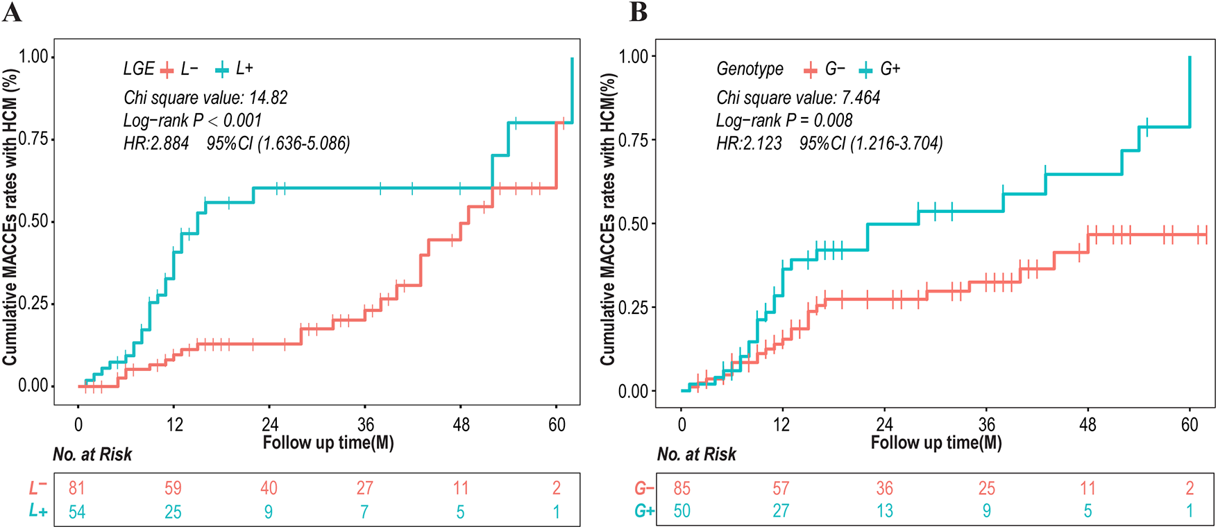 Two Kaplan–Meier graphs show cumulative MACCEs rates over time. Graph A compares groups L- and L+; L+ shows higher rates with a significant log-rank P<0.001. Graph B compares groups G- and G+; G+ shows higher rates with a significant log-rank P of 0.008. Both graphs have a follow-up period of 60 months, with varying numbers at risk over time.