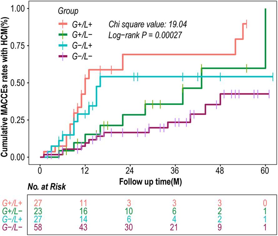 Kaplan-Meier survival curve depicting cumulative MACCEs rates with HCM over a 60-month follow-up. Four groups are represented: G+/L+, G+/L-, G-/L+, G-/L-, with significant differences (Log-rank P = 0.00027). The plot includes a risk table for each group at various time points.