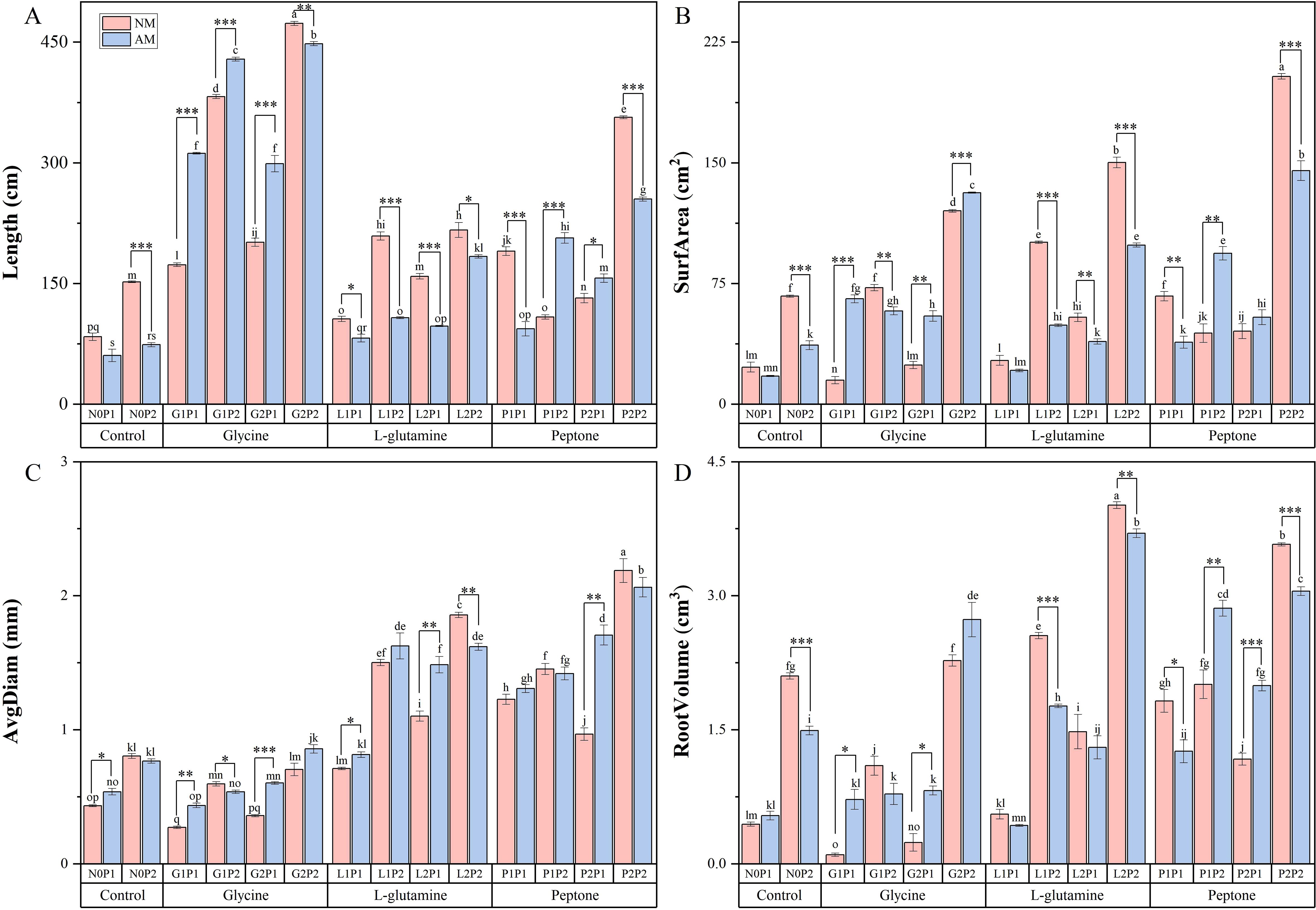 Four bar charts labeled A, B, C, and D compare plant root metrics under different treatments: control, glycine, L-glutamine, and peptone. Chart A shows root length, B shows surface area, C shows average diameter, and D shows root volume. Each treatment is further divided into NM (pink) and AM (blue) conditions. Significant differences are marked with asterisks and labeled with letters for comparison.