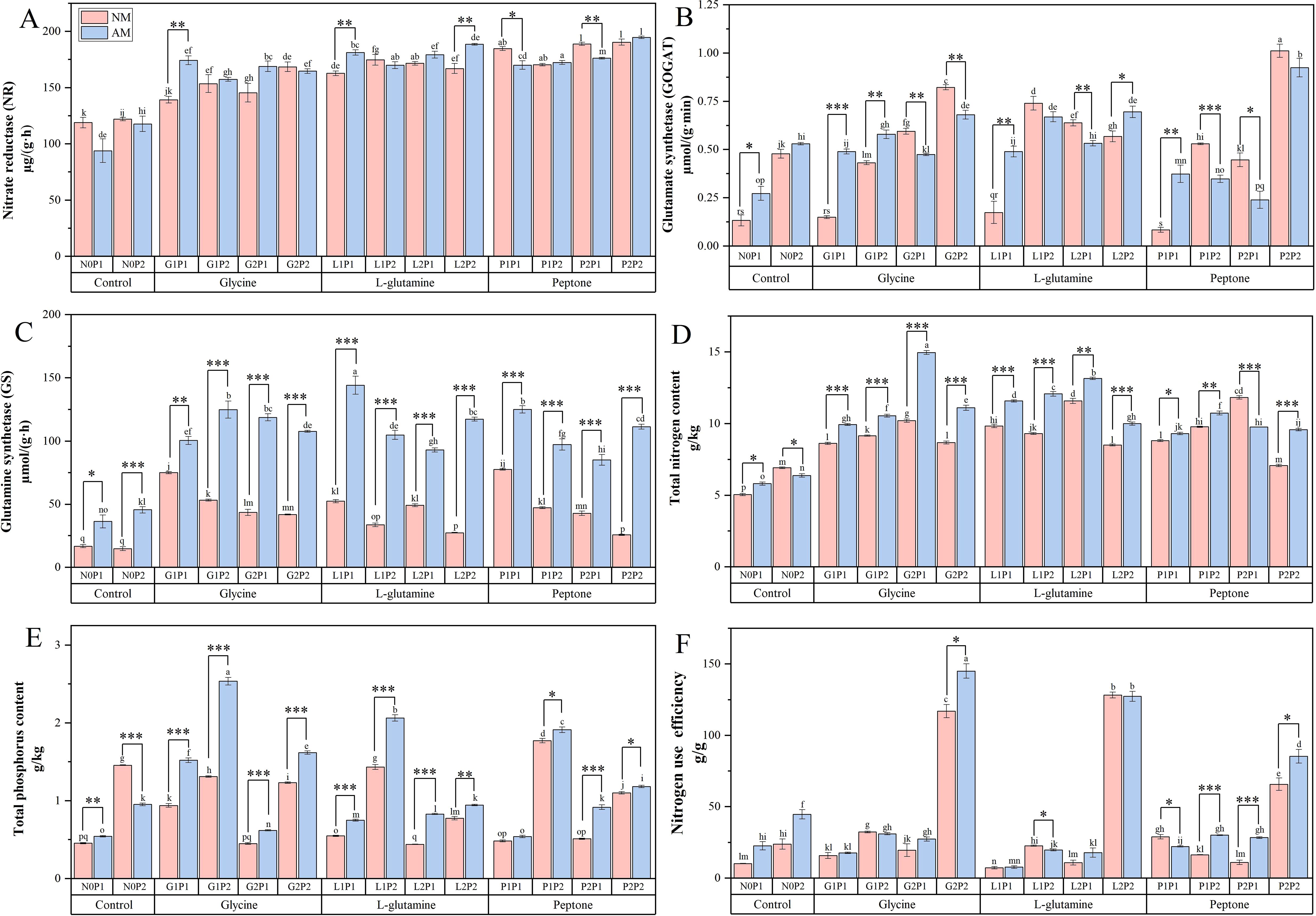 Bar charts showing various biochemical metrics across different treatments. Each chart compares NM and AM groups for nitrate reductase (NR), glutamate synthase (GOGAT), glutamine synthetase (GS), total nitrogen content, total phosphorus content, and nitrogen use efficiency, categorized by control, glycine, L-glutamine, and peptone. Statistical significance is indicated by stars.
