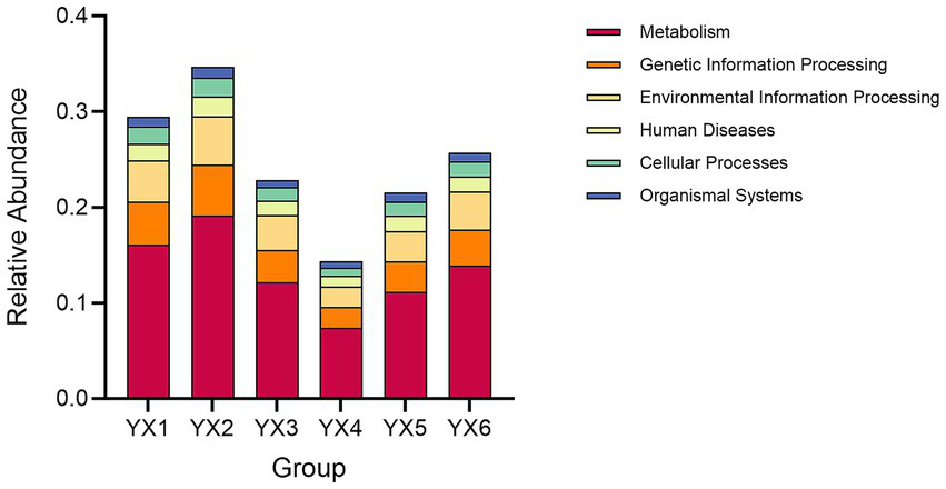Stacked bar chart showing the relative abundance of functional categories across groups YX1 to YX6. Categories include Metabolism, Genetic Information Processing, Environmental Information Processing, Human Diseases, Cellular Processes, and Organismal Systems, each represented by different colors. Metabolism is the largest category in all groups.