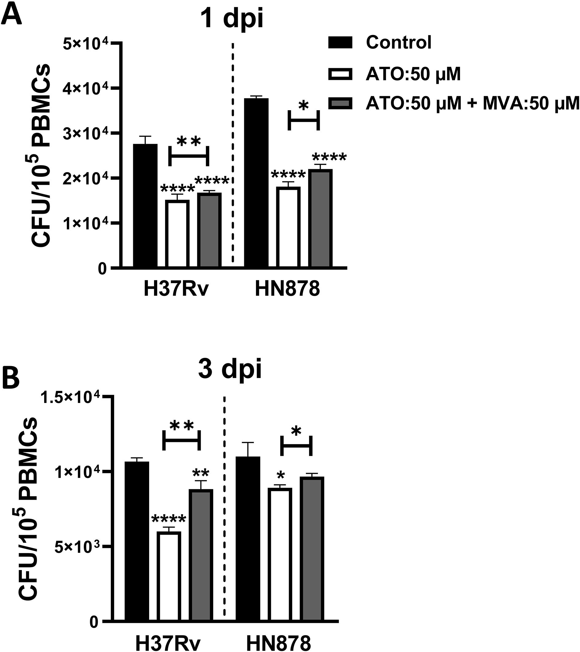 Bar graphs labeled A and B show CFU per 100,000 PBMCs for H37Rv and HN878 at 1 dpi and 3 dpi. Panels compare control, ATO: 50 μM, and ATO: 50 μM + MVA: 50 μM treatments. Significant differences are indicated by asterisks.