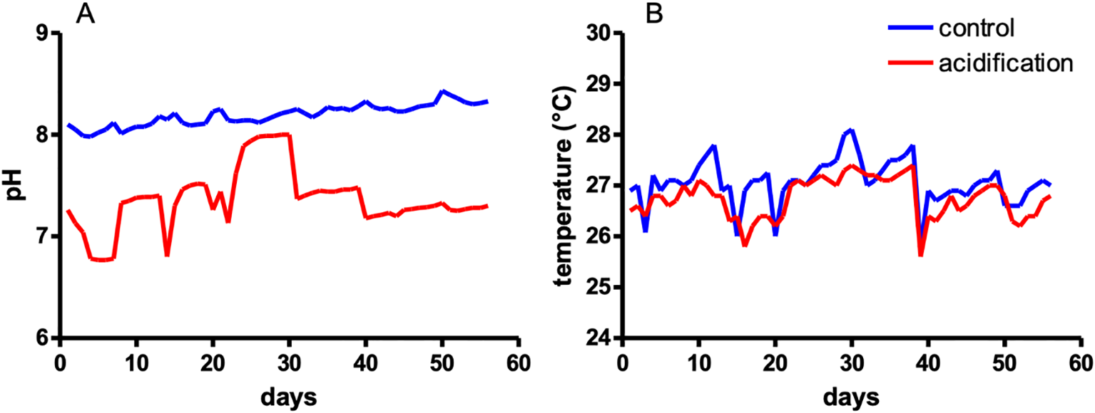 Line graphs displaying pH and temperature over 60 days. Graph A shows pH levels, with the control (blue) remaining stable around 8 and acidification (red) fluctuating around 7. Graph B shows temperature in degrees Celsius, both control (blue) and acidification (red) lines fluctuating between 26 and 28 degrees.