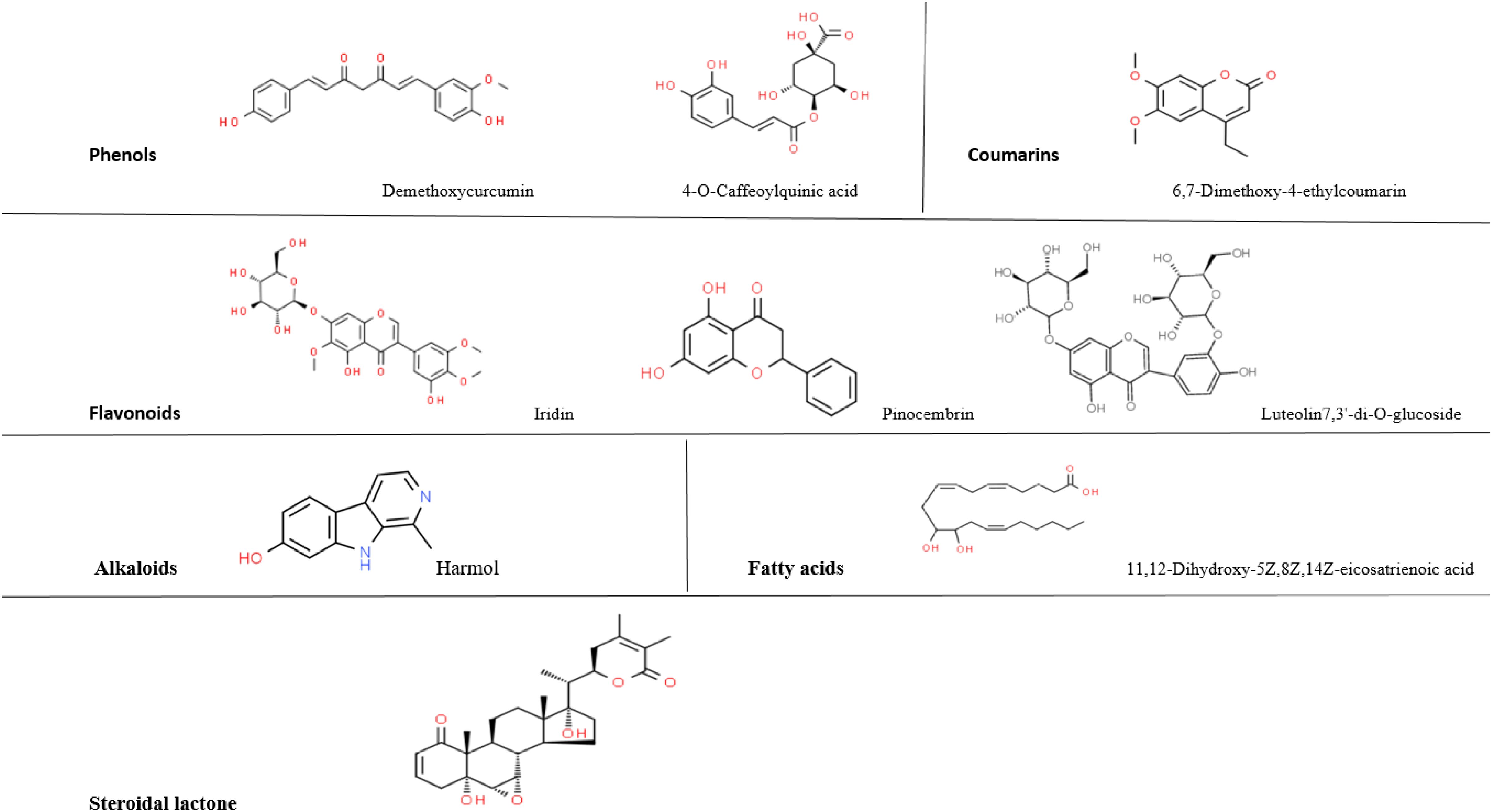 Chemical structures of various compounds categorized as phenols, coumarins, flavonoids, alkaloids, fatty acids, and steroidal lactones. Compounds included are demethoxycurcumin, 4-O-caffeoylquinic acid, 6,7-dimethoxy-4-ethylcoumarin, iridin, pinocembrin, luteolin 7,3'-di-O-glucoside, harmol, 11,12-dihydroxy-5Z,8Z,14Z-eicosatrienoic acid, and an unnamed steroidal lactone.