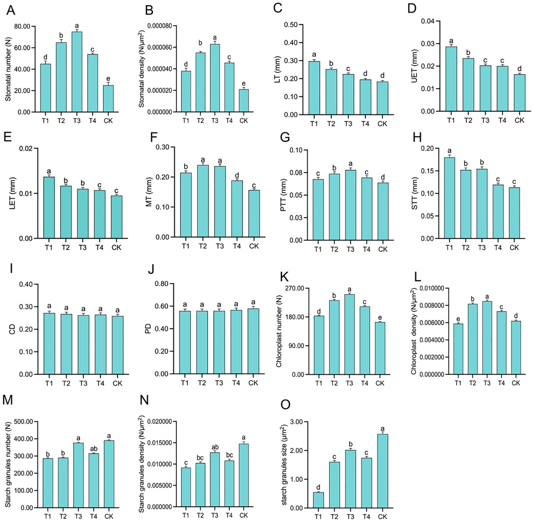 A series of bar graphs labeled A to O show various measurements such as stomatal number, stomatal density, leaf thickness (LT), upper epidermal thickness (UET), lower epidermal thickness (LET), mesophyll thickness (MT), palisade tissue thickness (PTT), spongy tissue thickness (STT), cuticle density (CD), palisade density (PD), chloroplast number, chloroplast density, starch granules number, starch granules density, and starch granules size, across treatments T1, T2, T3, T4, and CK. Different letters indicate statistically significant differences among treatments.