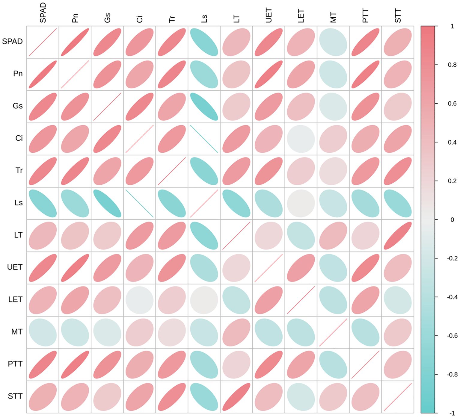 Correlation matrix displaying relationships between variables labeled SPAD, Pn, Gs, Ci, Tr, Ls, LT, UET, LET, MT, PTT, and STT. Ellipses indicate correlation strength and direction, with red representing positive and blue negative correlations. A gradient color bar indicates correlation values from minus one to one.