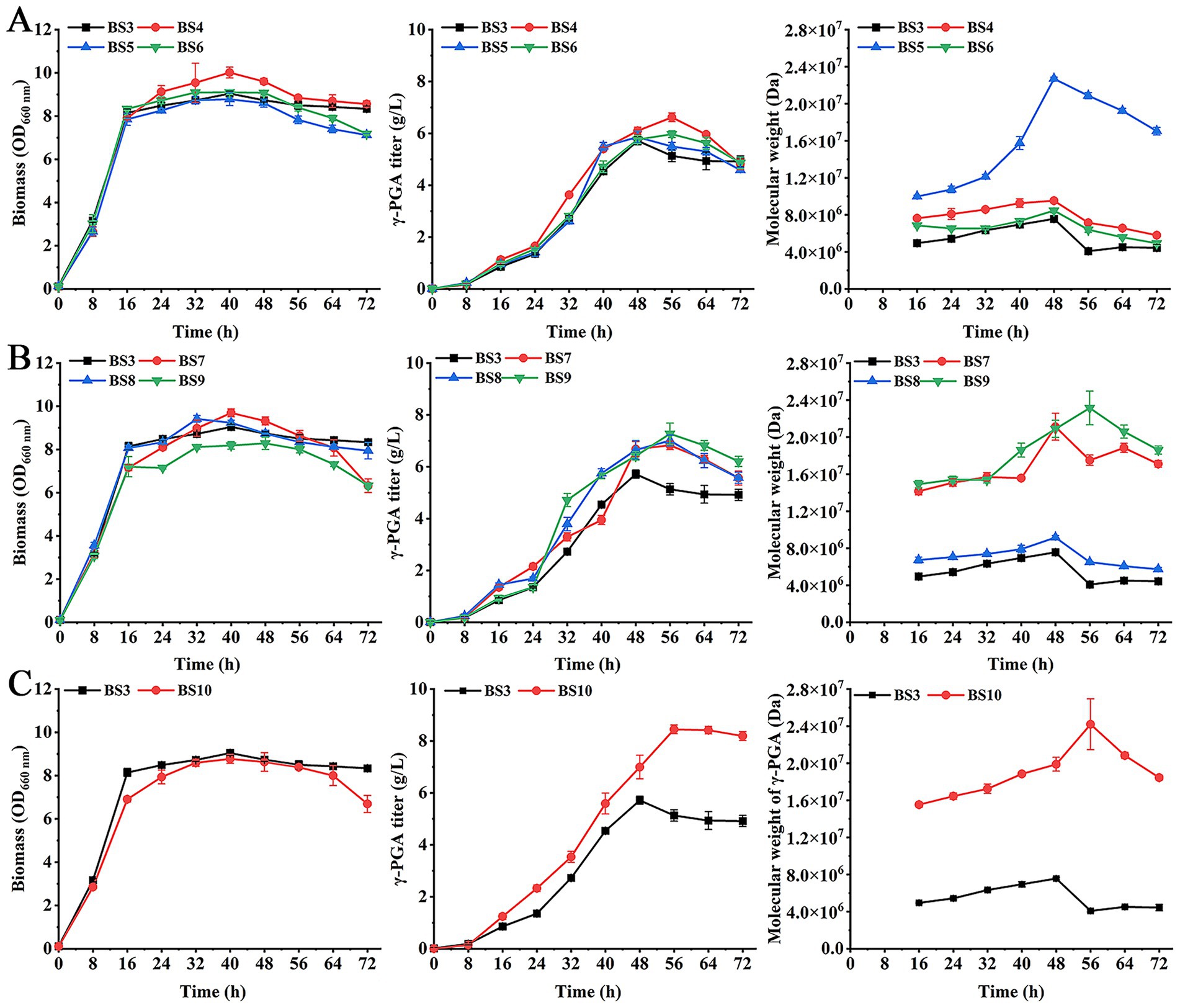 Graphs illustrate biomass, γ-PGA titer, and molecular weight for gene-deletion strains labeled BS4 to BS10.
