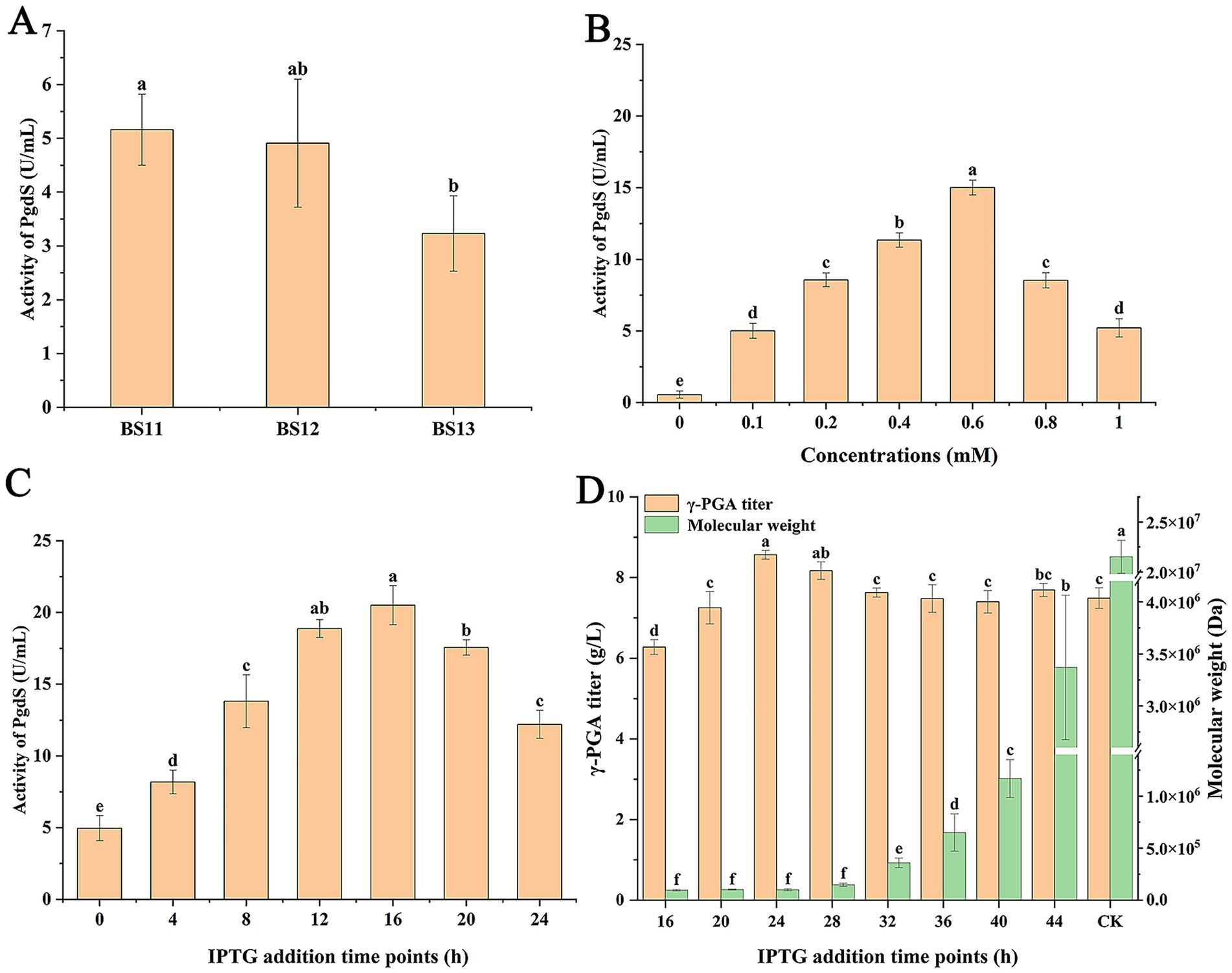 Graphs showing effect of PgdS activity on γ-PGA production. (A) Comparison PgdS activity in strains BS11, BS12, BS13. (B) PgdS activity at different IPTG concentrations, peaking at 0.6 mM. (C) PgdS activity at different IPTG addition time points, peaking at 16 hours. (D) γ-PGA titer and molecular weight at various IPTG addition times. Error bars represent standard deviations.