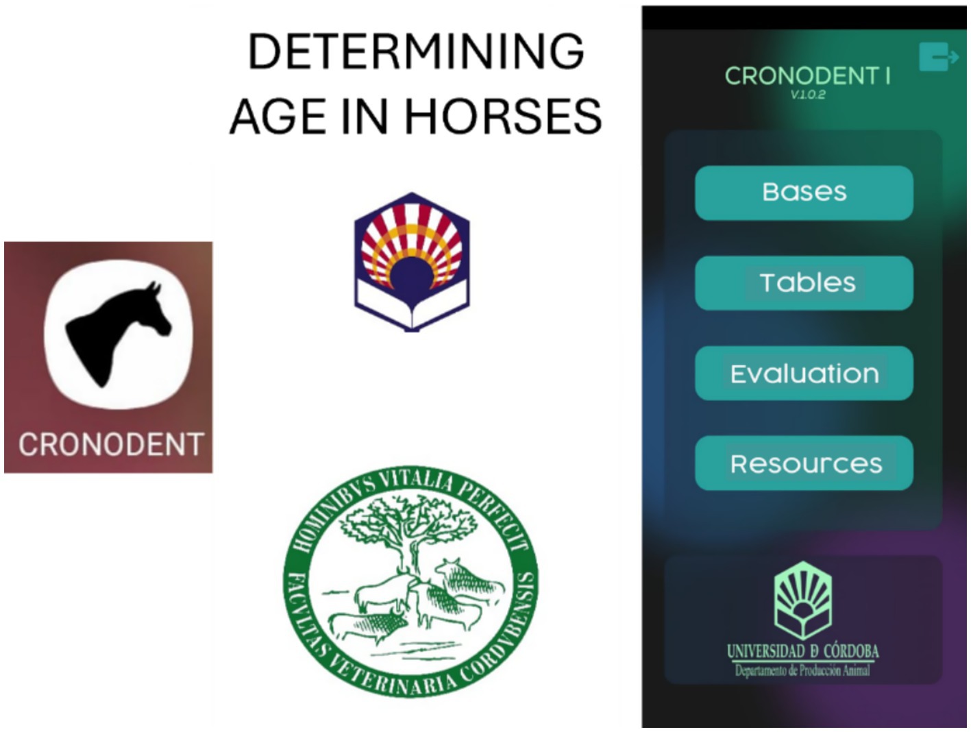 Image displaying elements related to determining age in horses. Includes the CRONODENT logo featuring a horse silhouette, an in-app menu with options such as Bases, Tables, Evaluation, and Resources, and logos from the Universidad de Córdoba’s Animal Production Department and a veterinary faculty.
