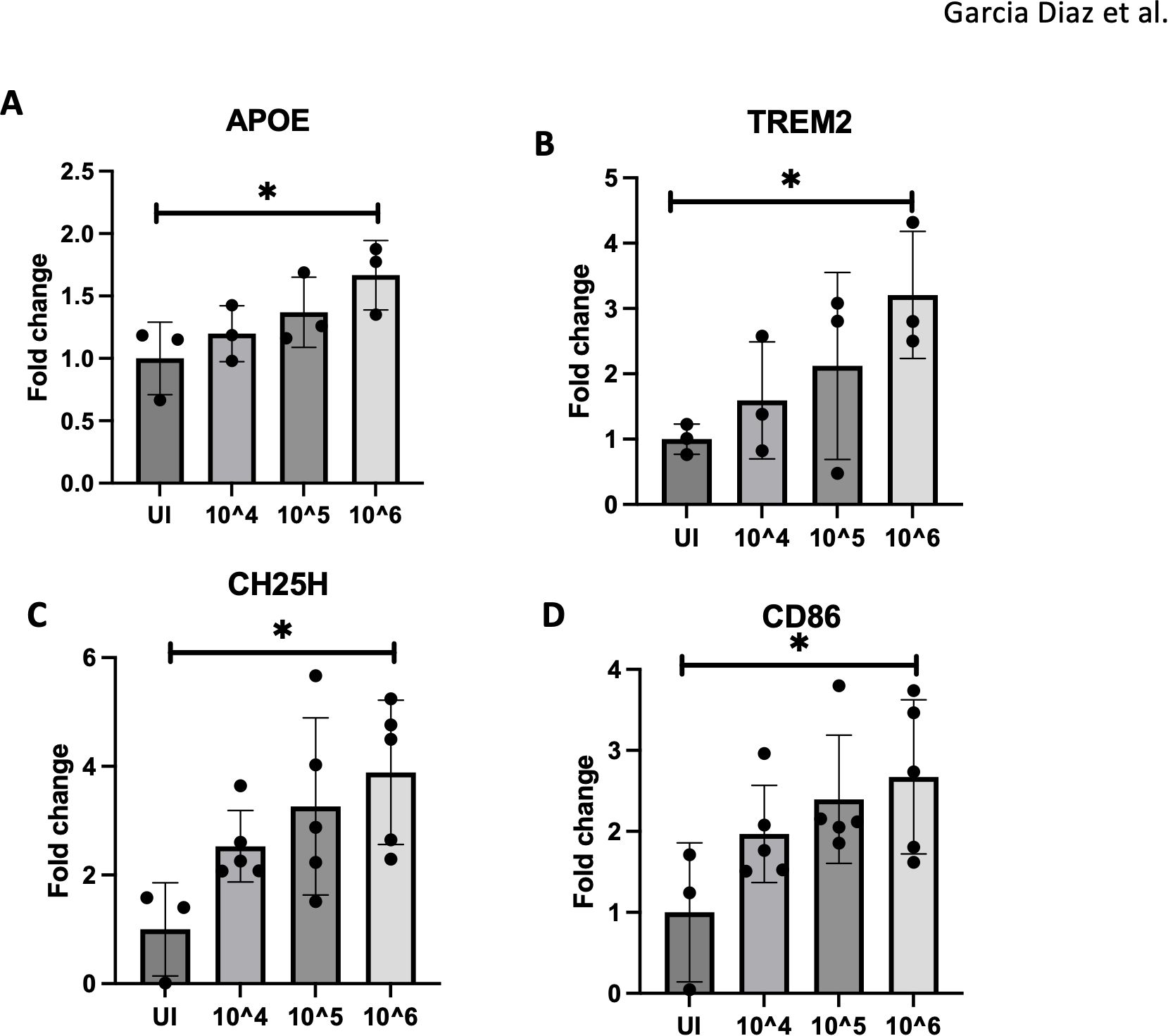 Bar graphs labeled A to D showing fold change for genes APOE, TREM2, CH25H, and CD86 across different conditions: UI, 10^4, 10^5, 10^6. Asterisks indicate significant differences, showing trends of increased expression with higher values. Error bars suggest variability in data.