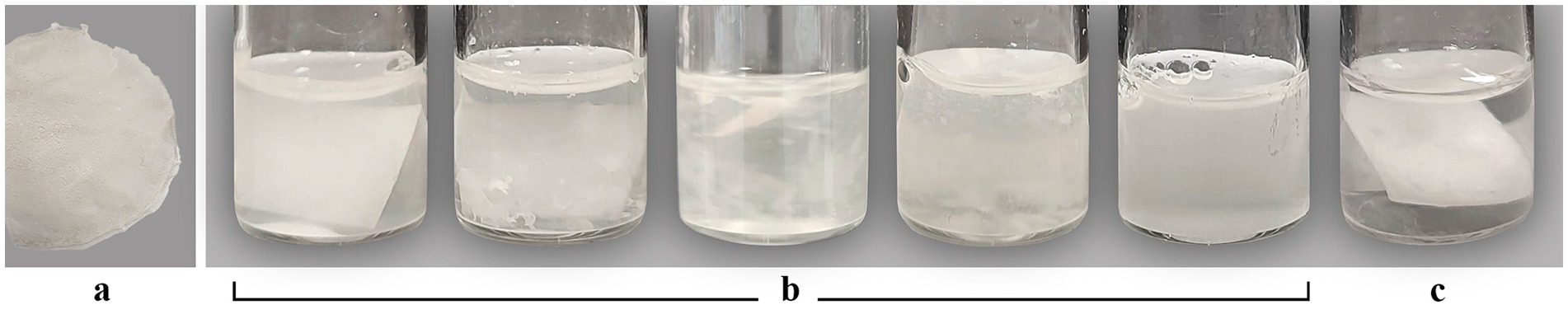 Panel labeled 'a' shows a white, circular, sponge-like material. Panel 'b' displays four glass containers filled with a cloudy liquid, each containing pieces of a similar material. Panel 'c' shows a glass container with a piece of a white material in clear liquid.