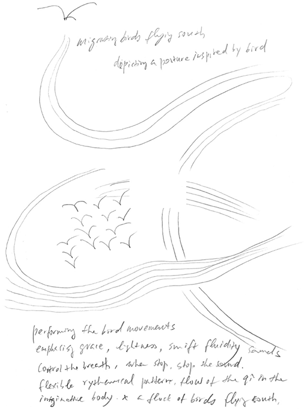 Graphical score depicting birds flying south in a graceful, flowing formation. Curved lines represent movement and flight, accompanied by handwritten notes on movements, grace, and rhythm inspired by birds.