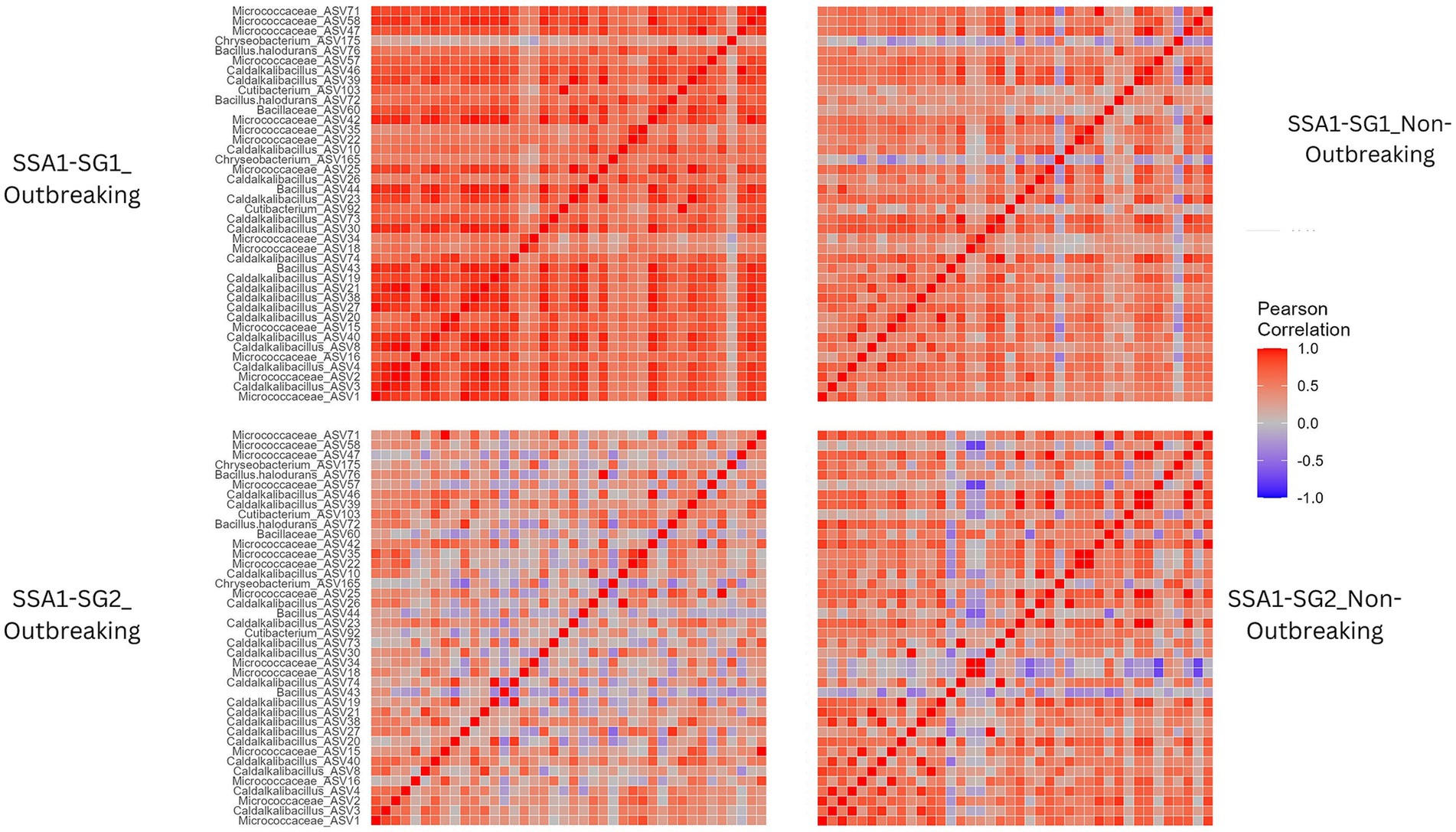 Four heatmaps depict Pearson correlation values of microbial genera in different conditions. The top row compares SSA1-SG1 outbreaking and non-outbreaking states, while the bottom row compares SSA1-SG2 outbreaking and non-outbreaking states. Correlation strength ranges from negative (blue) to positive (red), with genera listed on the y-axes.