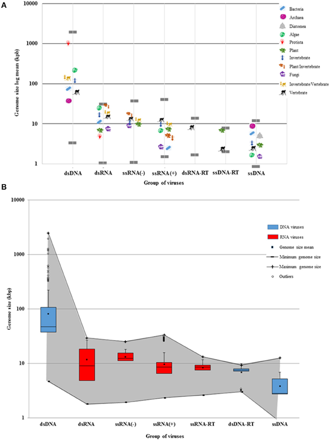 Virus Size Chart