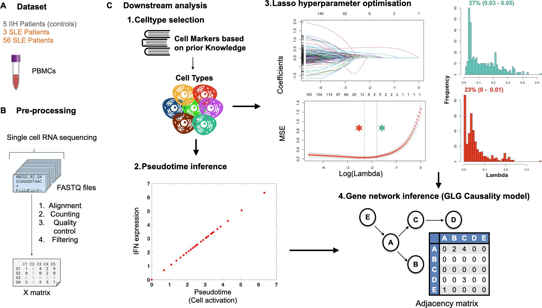 Flowchart depicting a study on gene network inference using single-cell RNA sequencing. Section A shows a dataset of patients. Section B describes pre-processing, including alignment and filtering of FASTQ files. Section C outlines downstream analysis: 1. Cell type selection via t-SNE plot; 2. Pseudotime inference with scatter plot; 3. Lasso hyperparameter optimization with coefficient and MSE graphs; 4. Gene network inference using a GLG causality model and adjacency matrix. Histograms show frequency distributions for lambda values.