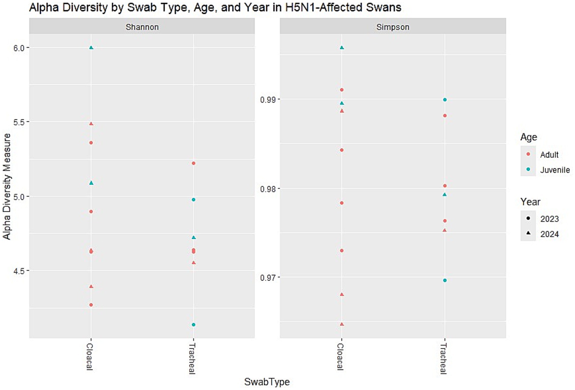 Chart showing alpha diversity by swab type, age, and year in H5N1-affected swans. Two panels,