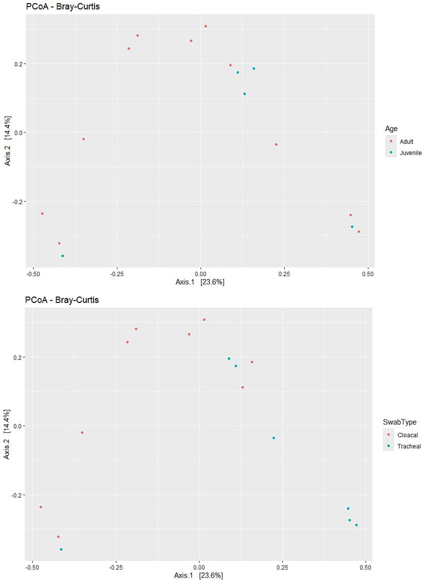 Top image shows a PCoA plot using Bray-Curtis distances, with red and blue dots representing adult and juvenile samples. Bottom image is a similar PCoA plot, with red and blue dots representing cloacal and tracheal swab types. Axis 1 explains 23.6 percent variance and Axis 2 explains 14.4 percent variance.