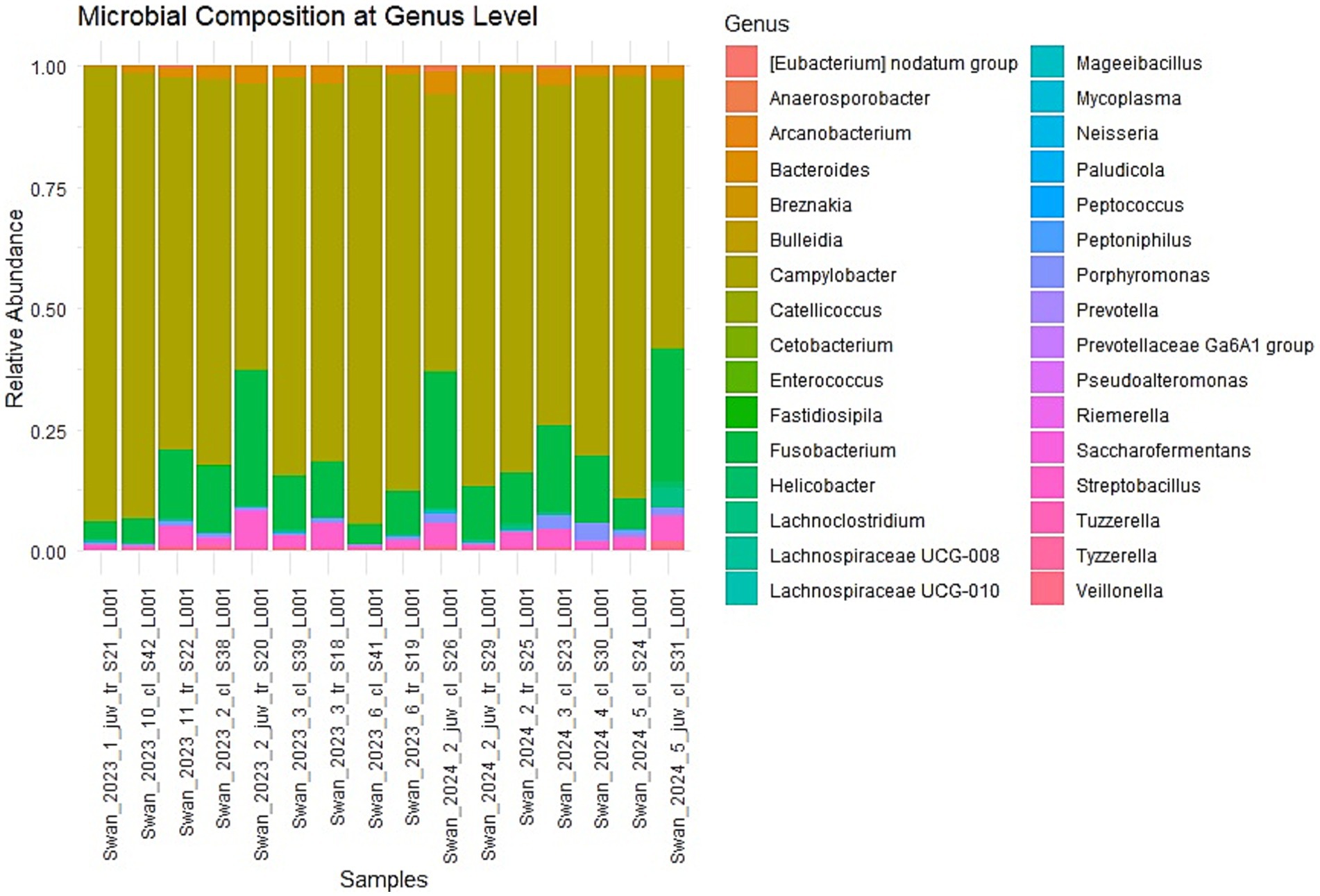 Bar chart showing microbial composition at the genus level across various samples labeled Swan 2023 and 2024. Bars represent relative abundance with different colors indicating genera such as Bacteroides, Enterococcus, and Prevotella. A legend on the right lists the genera correspondences.
