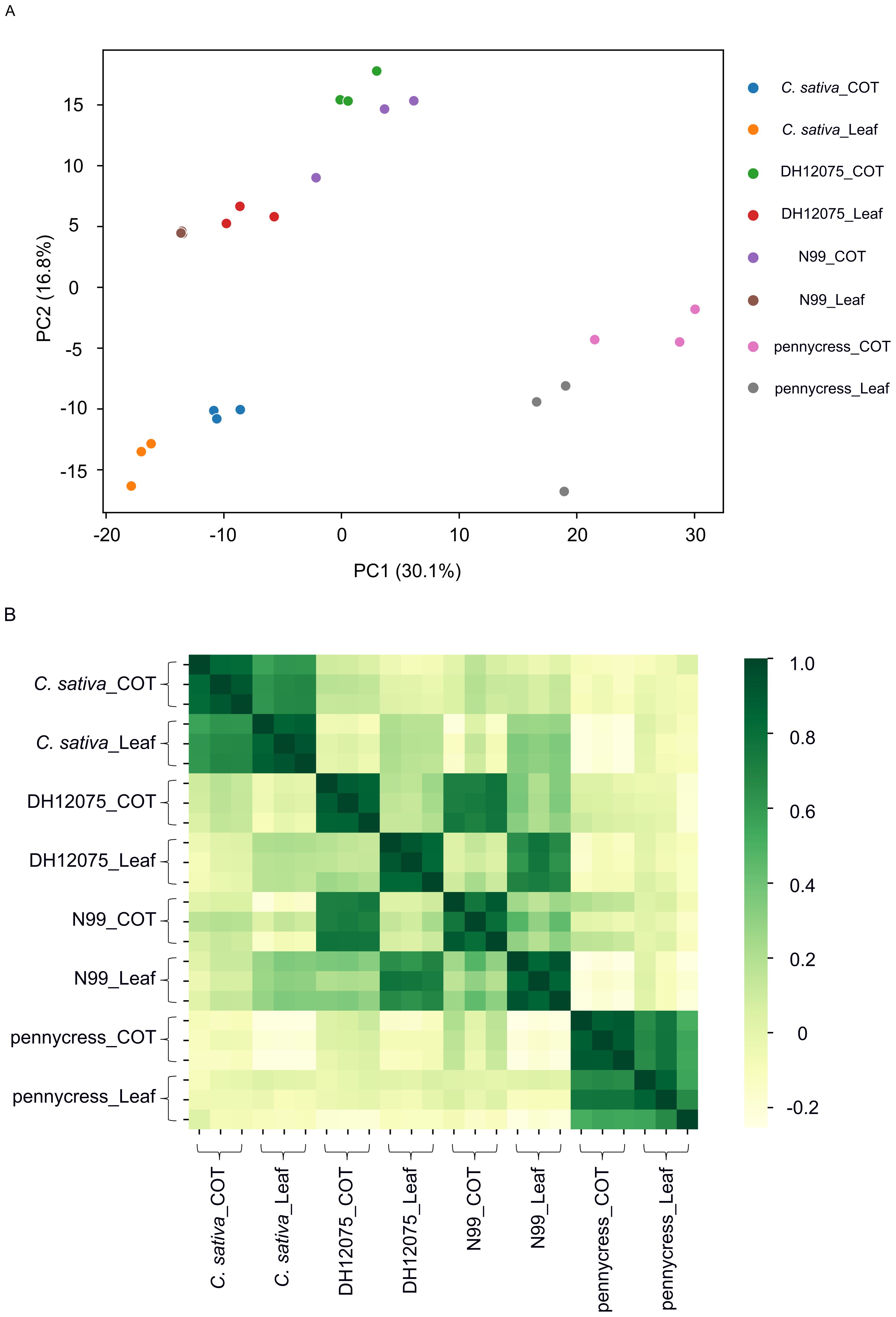 Scatter plot and heatmap visualizing plant data. The scatter plot (A) shows principal component analysis with PC1 (30.1%) and PC2 (16.8%) axes, using colored dots for different plant samples and tissues. The heatmap (B) displays expression levels across samples, with shades from light to dark green, indicating varying intensity levels. Samples are labeled on both axes.