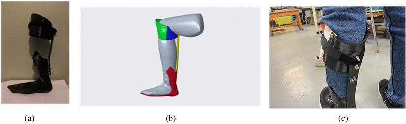 (a) A black prosthetic leg component designed for below-knee amputation. (b) A digital 3D model of a prosthetic leg with colored sections: green, blue, red, and yellow. (c) A person wearing a black and white leg brace over jeans, with visible straps and screws.