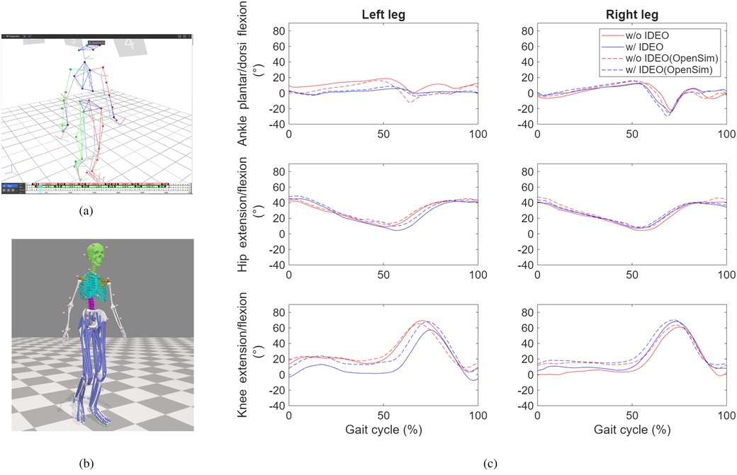 Illustration (a) shows a 3D motion capture of a human figure with colored markers on joint points. Graphic (b) depicts a skeletal model with highlighted muscles and joints. Graphs (c) display ankle, hip, and knee movements for the left and right legs, comparing conditions with and without IDEO, represented by solid and dashed lines.