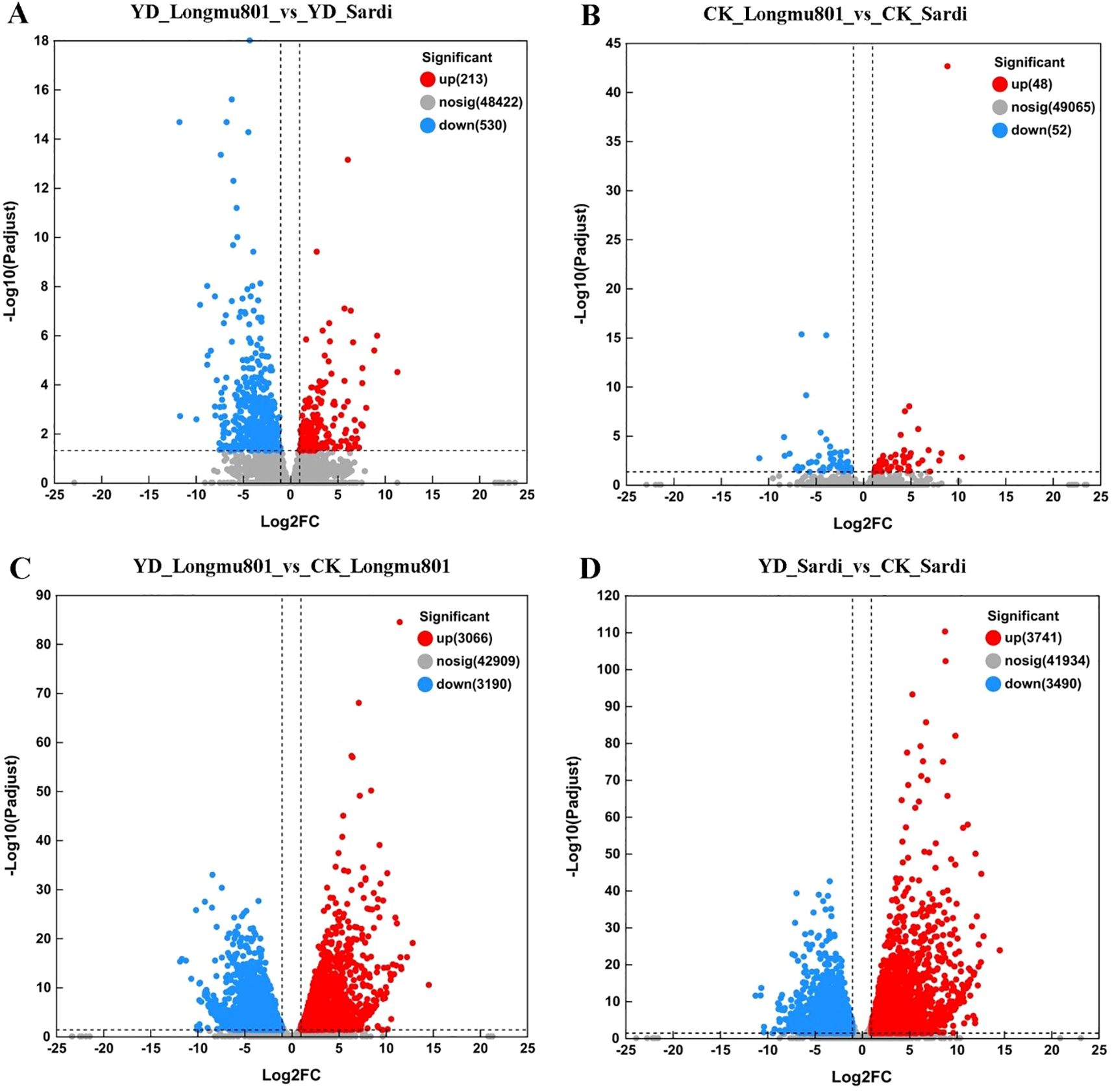 Four volcano plots illustrating gene expression data comparisons. Plot A: YD_Longmu801 vs. YD_Sardi; red indicates 213 upregulated and blue 530 downregulated genes. Plot B: CK_Longmu801 vs. CK_Sardi; red 48 up, blue 52 down. Plot C: YD_Longmu801 vs. CK_Longmu801; red 3066 up, blue 3190 down. Plot D: YD_Sardi vs. CK_Sardi; red 3741 up, blue 3490 down. Each plot shows -log10 adjusted p-values versus log2 fold change, highlighting significant, nonsignificant, upregulated, and downregulated genes.