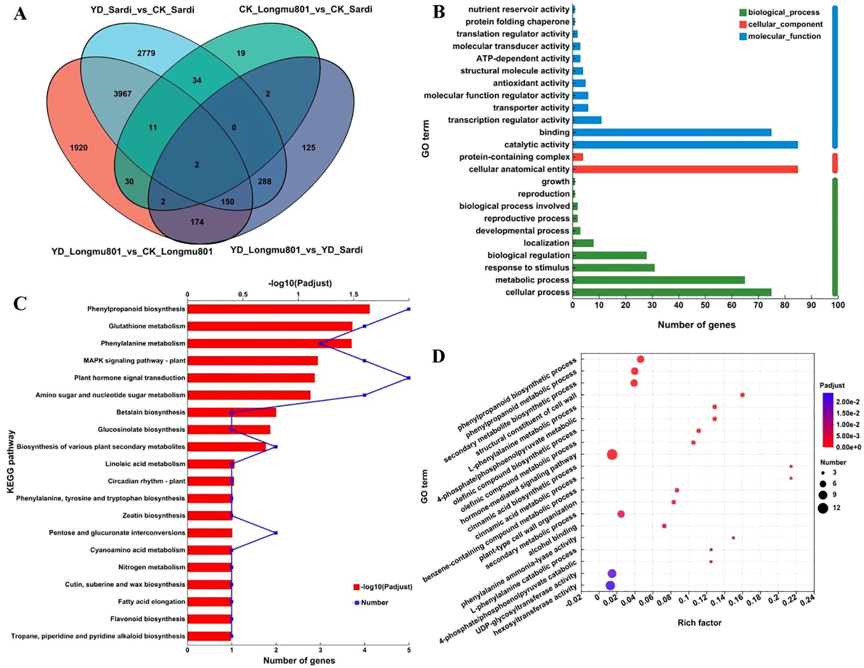 Four diagrams display different analyses of gene expression and functions. Panel A shows a Venn diagram with four sets representing gene comparisons across different conditions. Panel B includes a bar chart categorizing gene ontology terms by their biological processes, cellular components, and molecular functions, shown with different colors. Panel C presents a bar graph illustrating KEGG pathway analysis with the number of genes and significance values. Panel D is a bubble chart depicting GO terms in relation to the rich factor and number of genes, colored by significance level.
