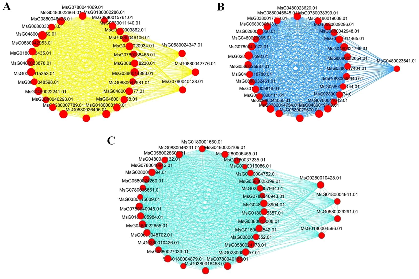 Network diagrams labeled A, B, and C show connections between nodes represented by red circles with text identifiers. Diagram A has yellow lines, B has blue, and C has light blue, indicating different network structures or data relationships.