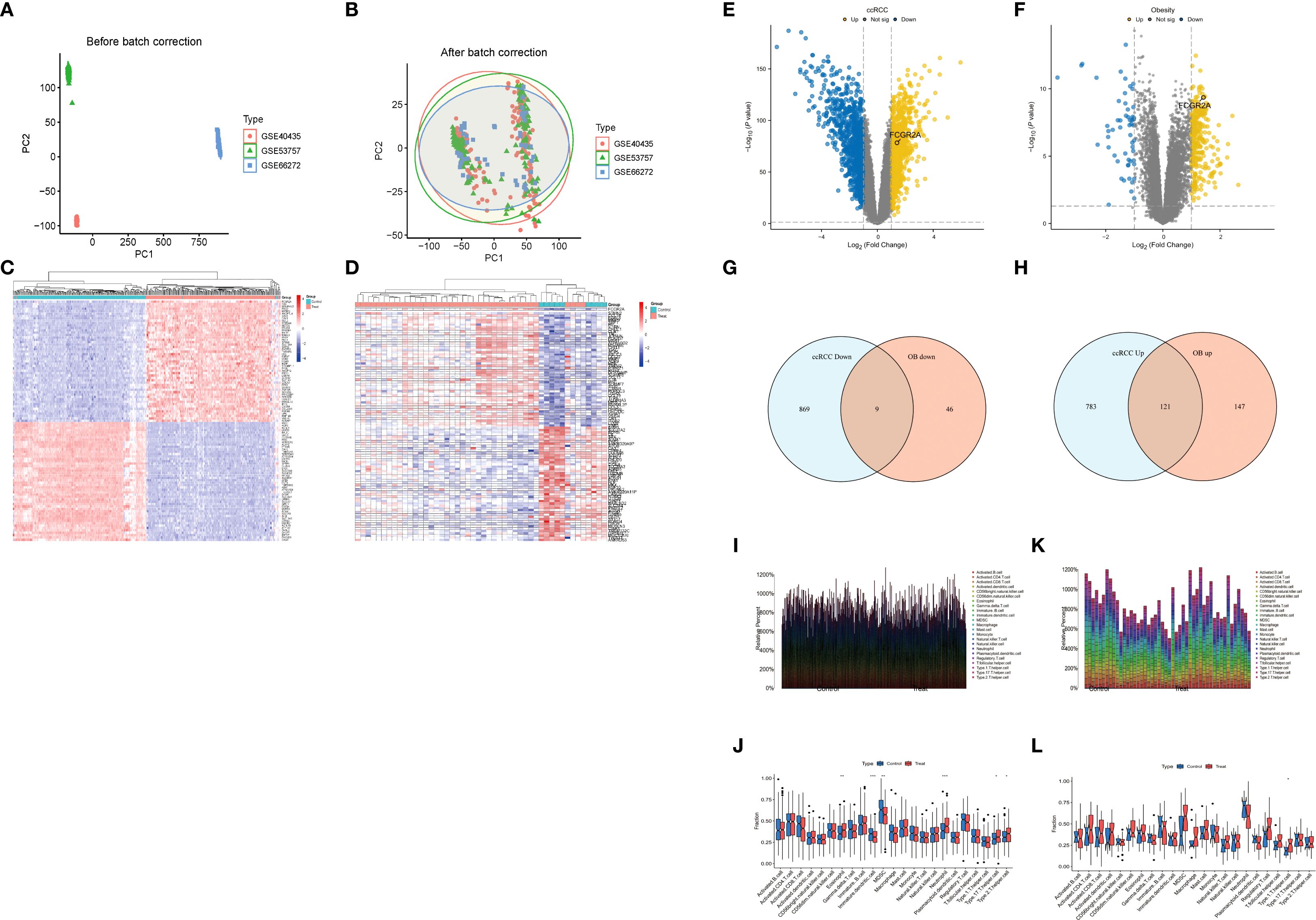 A set of scientific data visualizations showcasing various analyses. Panels A and B display PCA plots before and after batch correction with data points in different colors representing three types: GSE40435, GSE53757, GSE66272. Panels C and D are heatmaps illustrating gene expression variations. Panels E and F are volcano plots highlighting significant gene expression changes, with points in blue, yellow, and gray. Panels G and H are Venn diagrams showing overlaps in gene sets. Panels I and K are line graphs depicting data distribution. Panels J and L are box plots comparing data types.