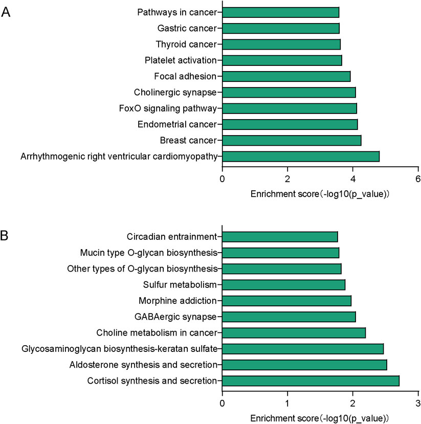 Bar charts labeled A and B show enrichment scores for various biological pathways. Chart A features pathways like