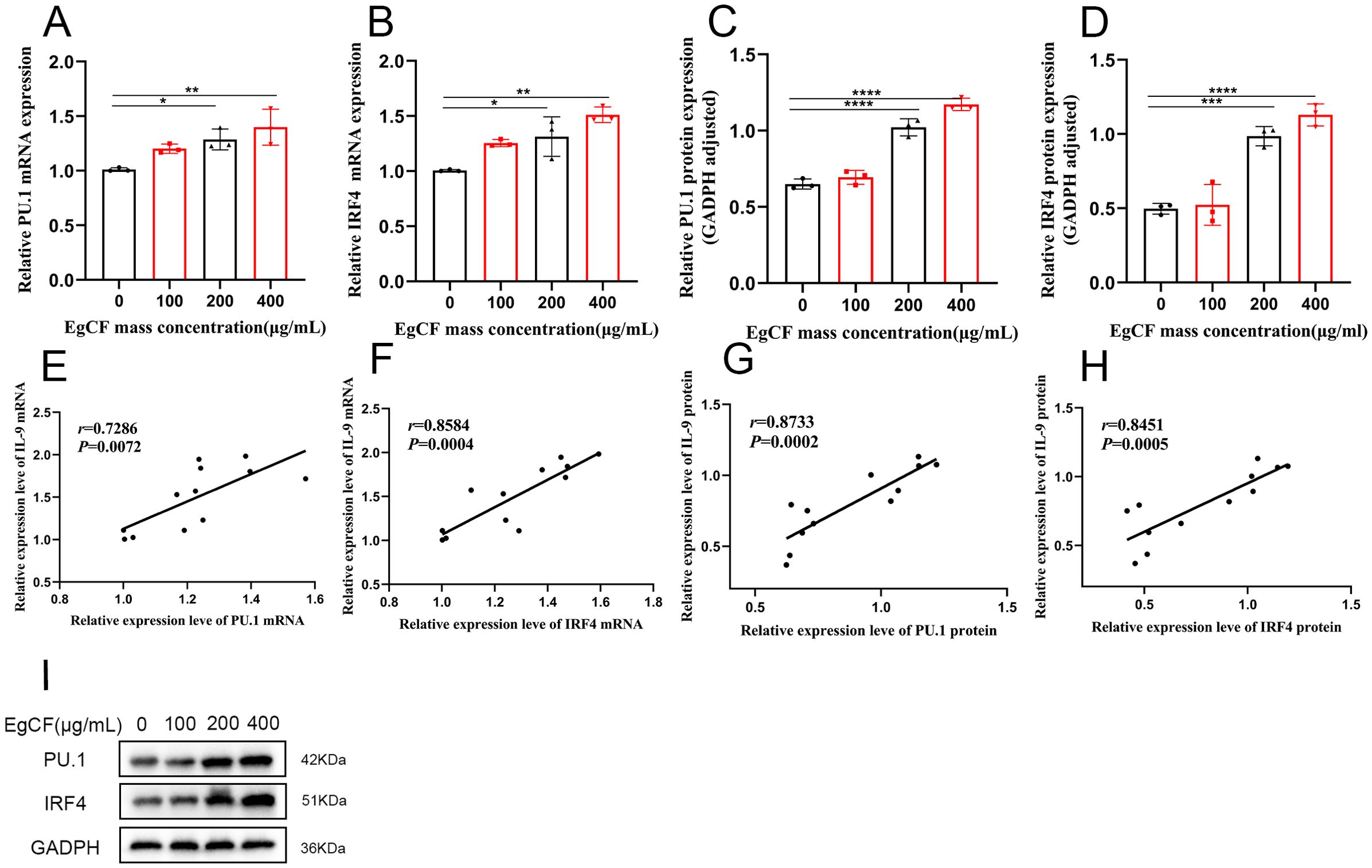 Bar and scatter plots examine the expression of PU.1 and IRF4. Panels A and B show relative mRNA expression against EgCF concentration, with increases at higher concentrations. Panels C and D depict protein expression, similarly elevated at higher concentrations. Panels E to H display positive correlations between IL-9 mRNA/protein levels and PU.1/IRF4 expressions. Panel I shows a western blot for PU.1, IRF4, and GADPH across varying EgCF concentrations.
