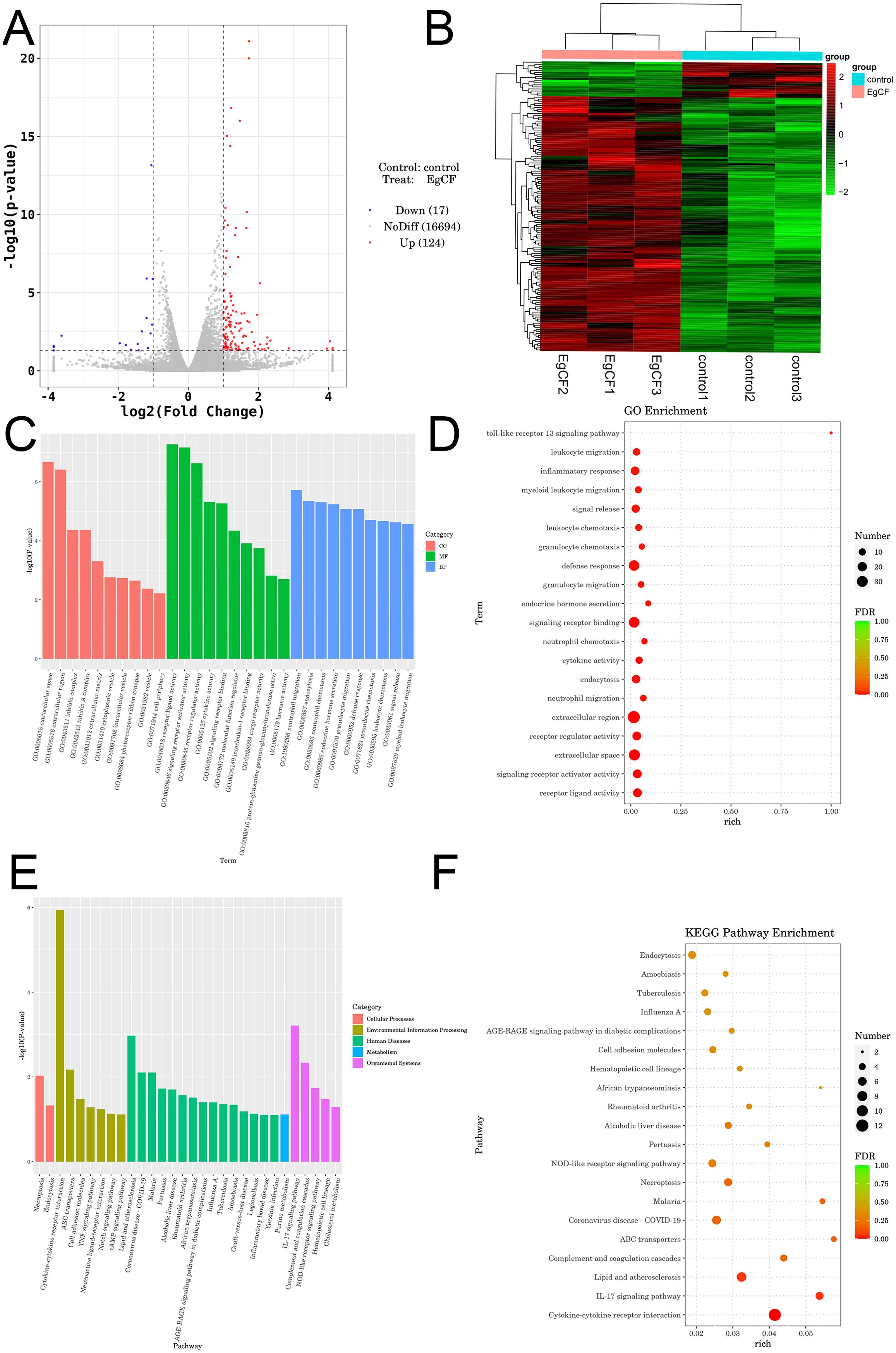 A multi-panel figure presenting various data analyses: A) A volcano plot showing gene expression changes, with points colored red for upregulated and blue for downregulated genes. B) A heatmap displaying hierarchical clustering of gene expression, with colors indicating different expression levels. C) A bar chart illustrating Gene Ontology (GO) terms enrichment with different categories (red: CC, green: BP, blue: MF). D) A dot plot for GO enrichment, depicting significant terms with color coding for false discovery rate (FDR). E) A bar chart for pathway enrichment analysis categorized by biological functions. F) A KEGG pathway enrichment dot plot, showing significant pathways with dot size representing gene number and color for FDR.