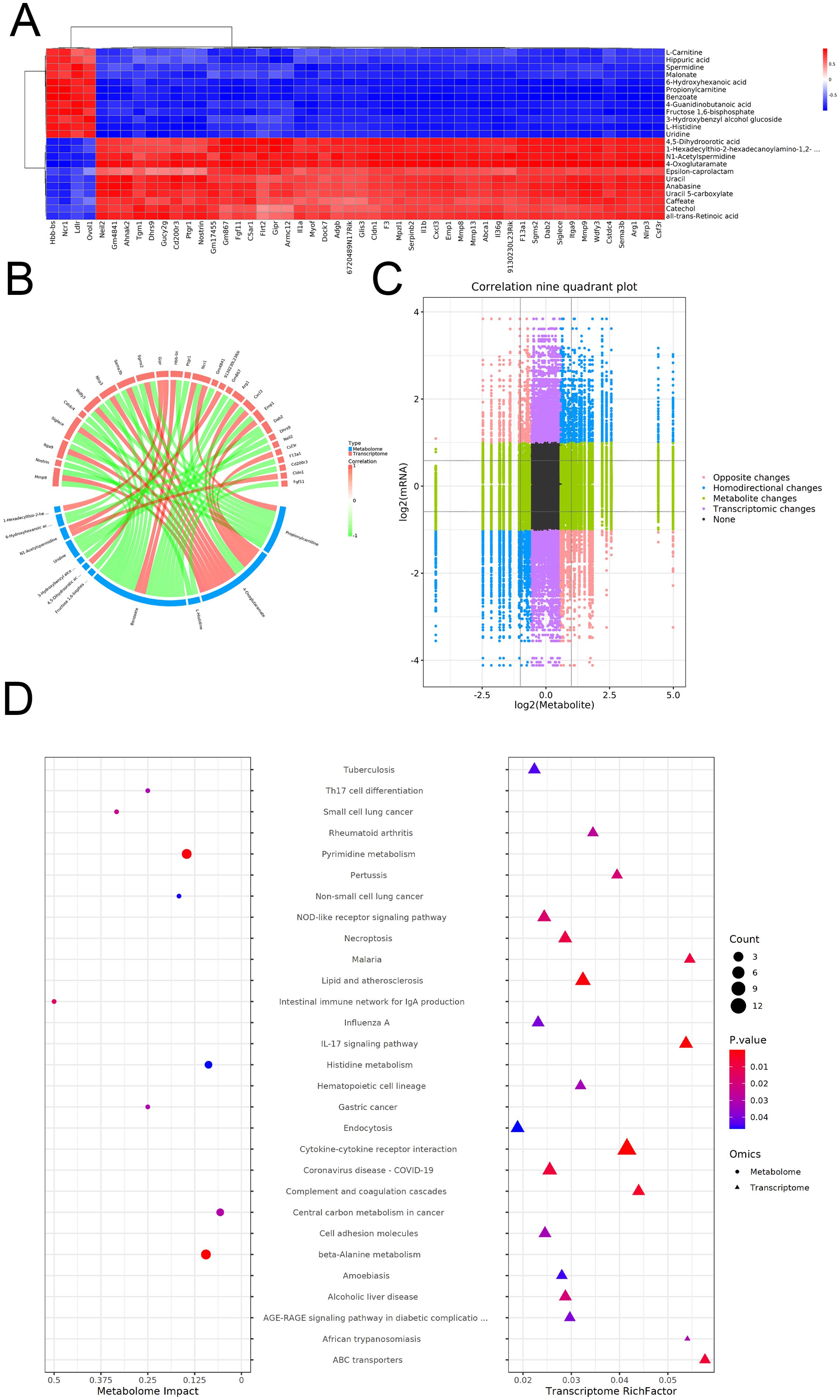 The image consists of four panels showing different data visualizations related to metabolites and transcriptomics. Panel A is a heatmap displaying variations in metabolite levels. Panel B is a circular diagram illustrating connections between metabolites and their classifications. Panel C is a scatter plot titled “Correlation nine quadrant plot” depicting relationships between metabolite and mRNA log2 values, color-coded by change type. Panel D consists of two dot plots, one for metabolome impact and one for transcriptome RichFactor, highlighting various diseases and pathways with size and color indicating count and p-value, respectively.