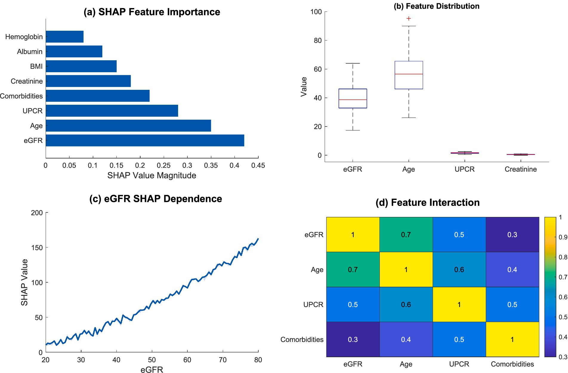 Feature importance and interaction analysis with four panels: (a) A bar chart showing SHAP feature importance, highlighting eGFR, Age, and UPCR as significant. (b) Box plots displaying feature distribution for eGFR, Age, UPCR, and Creatinine. (c) A line graph illustrating eGFR SHAP dependence, showing an increasing trend. (d) A heatmap of feature interactions indicating strong relationships, with higher values in eGFR and Age.