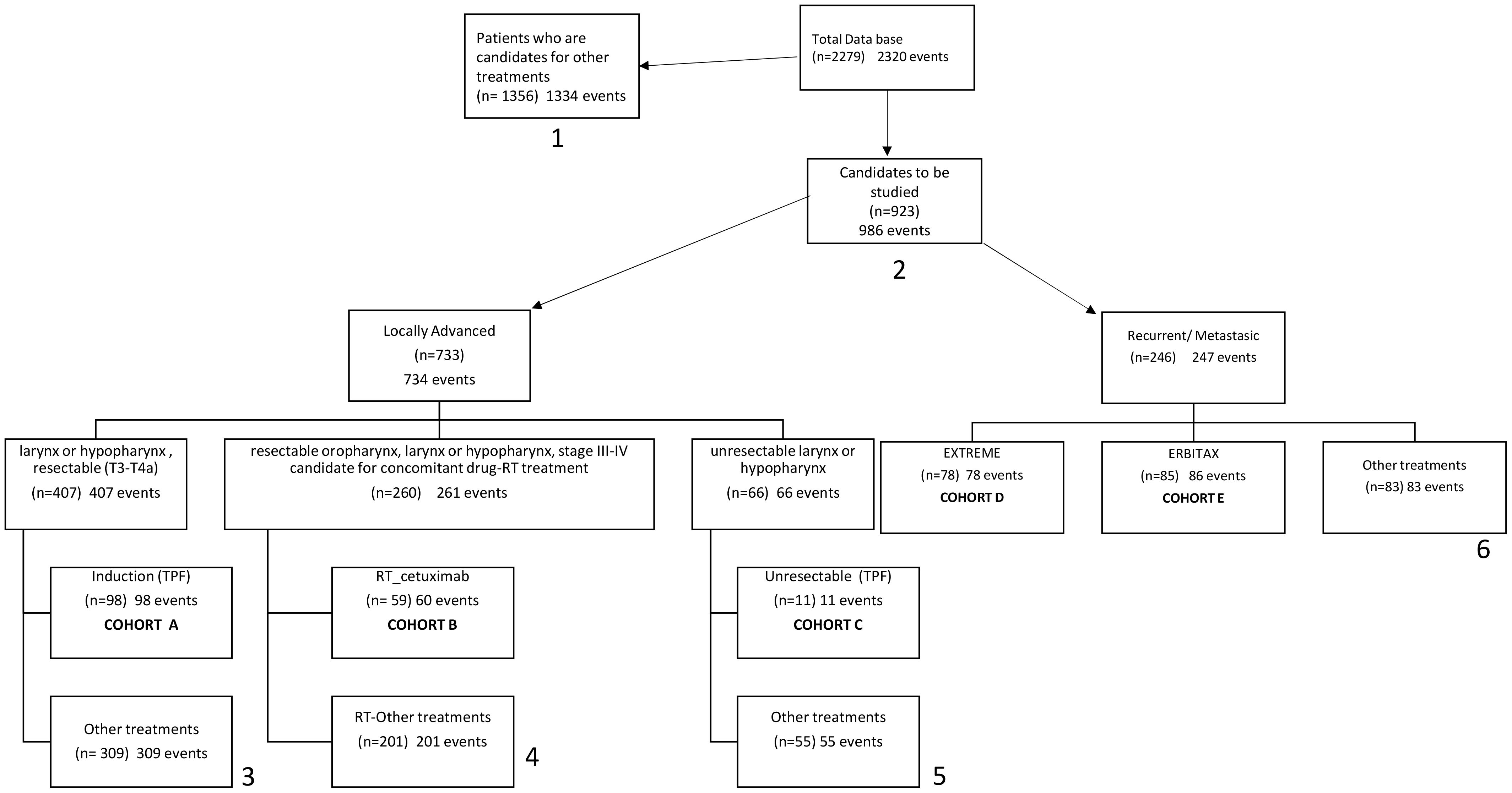 Flowchart illustrating patient categorization and treatment pathways in a study. It begins with a total database of 2,279 patients, identifying 923 candidates for study. Two main groups are shown: “Locally Advanced” with 733 patients and “Recurrent/Metastatic” with 246 patients. “Locally Advanced” is divided into subsets such as resectable larynx (407 patients), each leading to specific treatments like Induction TPF and RT_cetuximab in different cohorts. “Recurrent/Metastatic” is divided into categories like EXTREME, ERBITAX, and others, showing specific cohort allocations. Total events are also noted for each group and treatment.