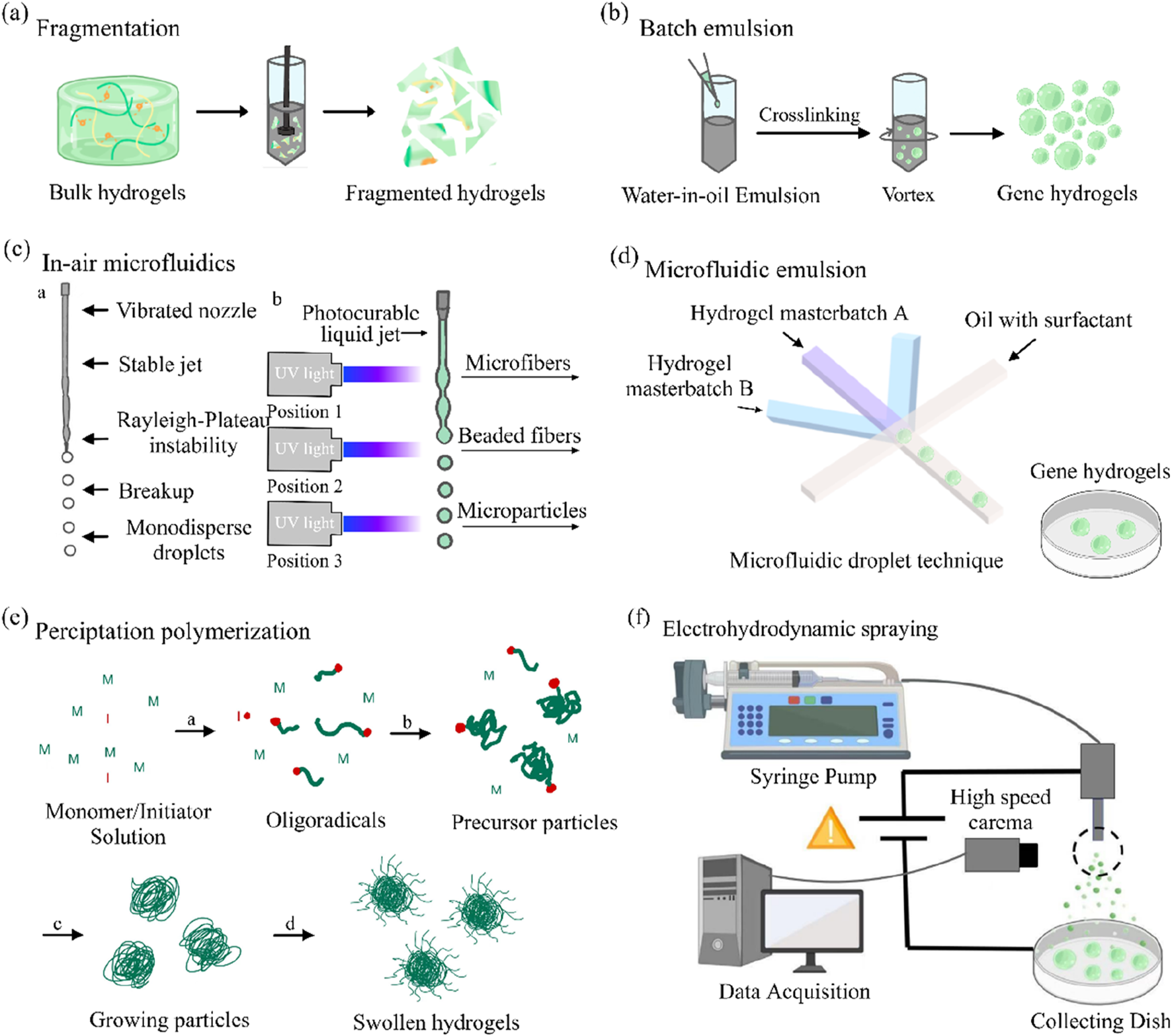Diagram illustrating various methods of hydrogel formation. (a) Fragmentation: bulk hydrogels are broken into fragments. (b) Batch emulsion: water-in-oil emulsion forms gene hydrogels. (c) In-air microfluidics: a vibrated nozzle creates droplets forming microfibers, beaded fibers, or microparticles using UV light. (d) Microfluidic emulsion: hydrogel masterbatches and oil with surfactant produce gene hydrogels via a droplet technique. (e) Precipitation polymerization: monomer solution evolves into swollen hydrogels through stages. (f) Electrohydrodynamic spraying: a syringe pump system sprays material into a collecting dish, with high-speed camera monitoring.
