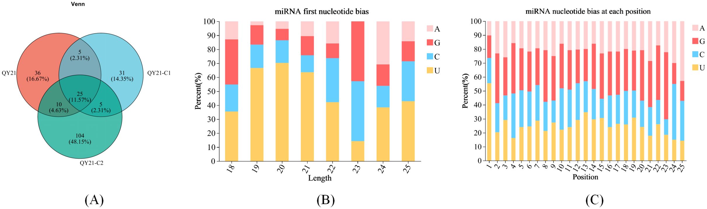 (A) Venn diagram illustrating the overlap of three groups: QY21, QY21-C1, and QY21-C2. Numbers and percentages indicate unique and shared elements among groups. (B) Bar chart showing miRNA first nucleotide bias by length, with proportions of nucleotides A, G, C, and U. (C) Bar chart depicting miRNA nucleotide bias at each position with the same nucleotide distribution.