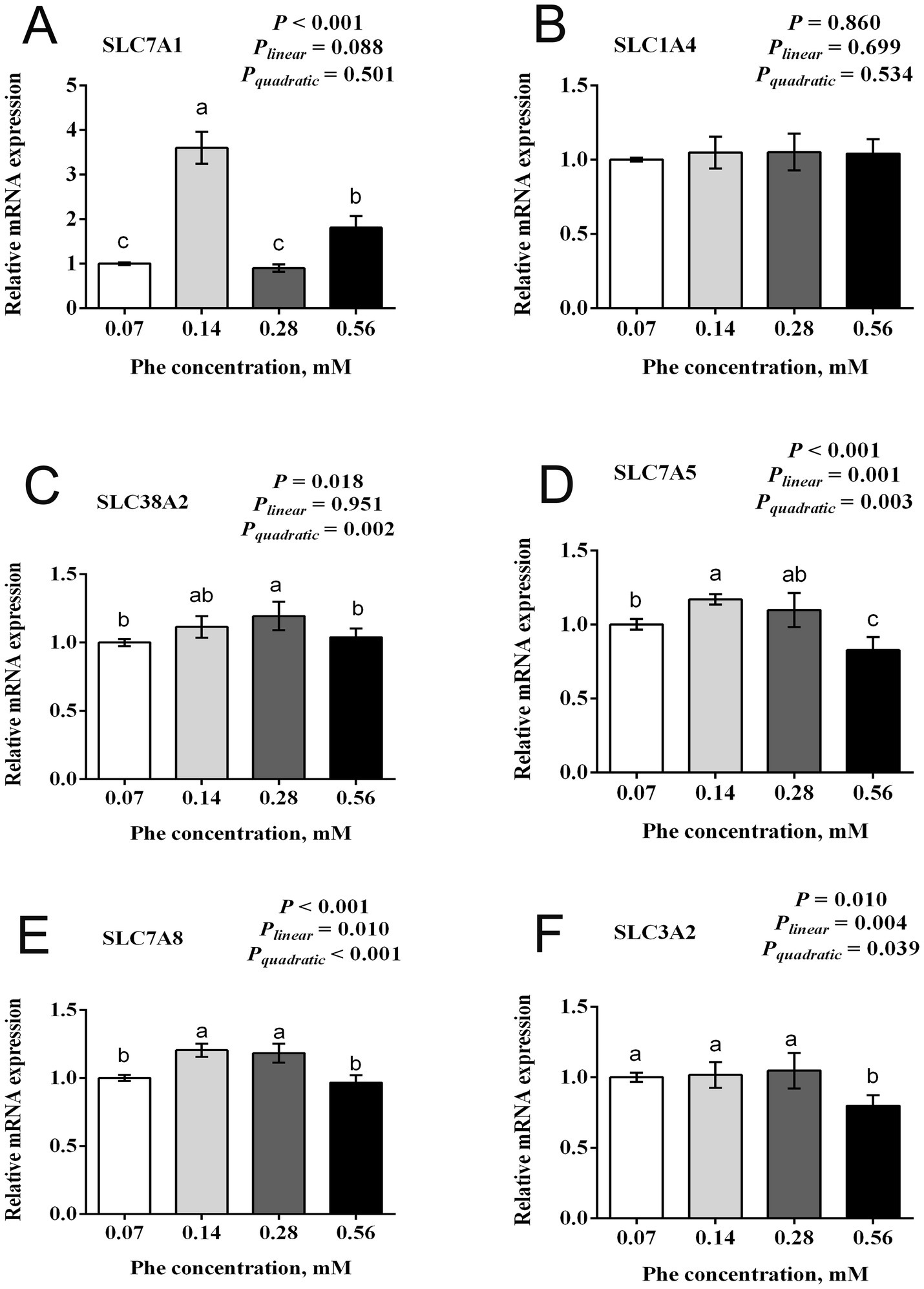 Bar graphs illustrate the relative mRNA expression of six different solute carrier (SLC) genes (SLC7A1, SLC1A4, SLC38A2, SLC7A5, SLC7A8, and SLC3A2) at varying phenylalanine (Phe) concentrations (0.07, 0.14, 0.28, 0.56 mM). Gene expression is measured against Phe concentration, showing significant linear and quadratic trends in some graphs, with p-values indicated for each. Statistical differences between concentrations are marked with different letters above the bars.