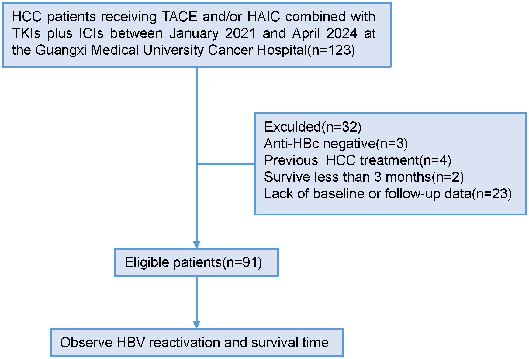 Flowchart depicting a study on HCC patients from Guangxi Medical University Cancer Hospital between January 2021 and April 2024. Out of 123 patients, 32 were excluded due to reasons like being anti-HBc negative, prior HCC treatment, surviving less than 3 months, or lacking baseline or follow-up data. Ultimately, 91 eligible patients were observed for HBV reactivation and survival time.