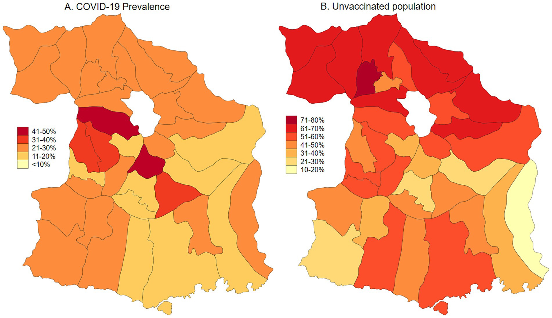 Two maps showing regions with varying COVID-19 prevalence and unvaccinated populations. Map A illustrates COVID-19 prevalence, ranging from 41-50% in dark red to under 10% in pale yellow. Map B depicts the unvaccinated population, with the highest concentration (71-80%) in dark red and the lowest (10-20%) in pale yellow.