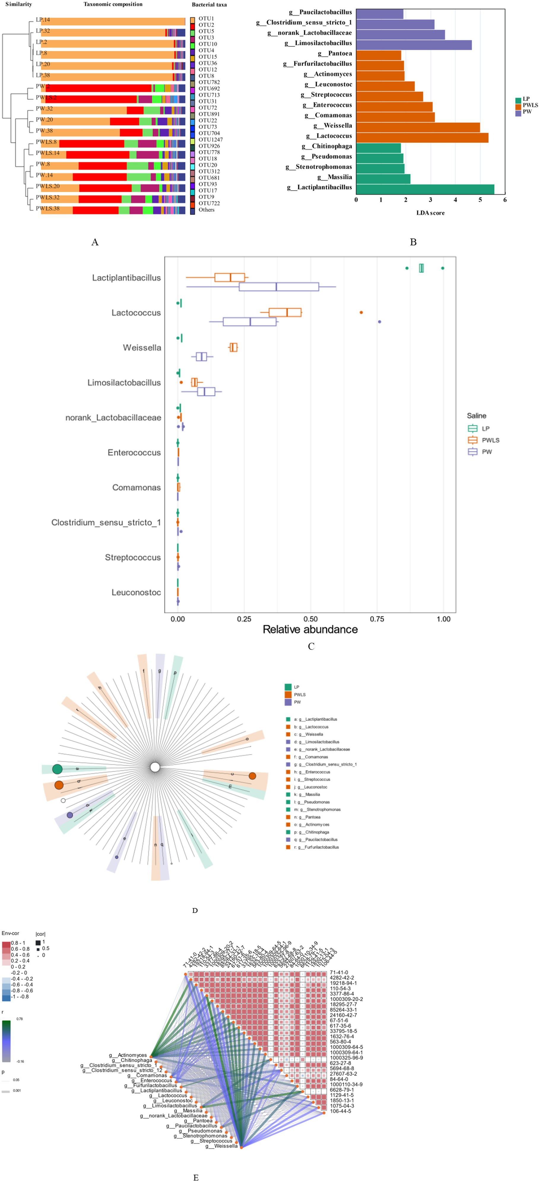 Hierarchical clustering and bar graphs show bacterial community composition, similarity, and taxa for various groups labeled LP, PWLS, and PW. A box plot illustrates relative abundance of specific bacteria such as Lactiplantibacillus, Lactococcus, and Weissella across these groups. Radial and network diagrams display microbial genera relationships and correlations. The radial diagram uses colored bands to represent different genera, while the network diagram shows correlations with a heatmap and connecting lines. Both visualizations include legends for interpretations, indicating diverse associations among microbial genera.