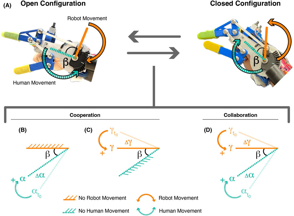 Diagram illustrating robot-human cooperation and collaboration in open and closed configurations. The top section shows mechanical hand models indicating human and robot movements with labeled angles. The bottom section features diagrams (B, C, D) showing angular relationships and movements, with colors indicating robot and human involvement. Arrows emphasize motion direction.
