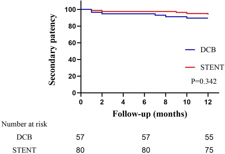 Line graph depicting secondary patency over a 12-month follow-up. Blue line represents DCB with a starting number at risk of 57, red line represents STENT with 80. Both lines show slight declines; p-value is 0.342.