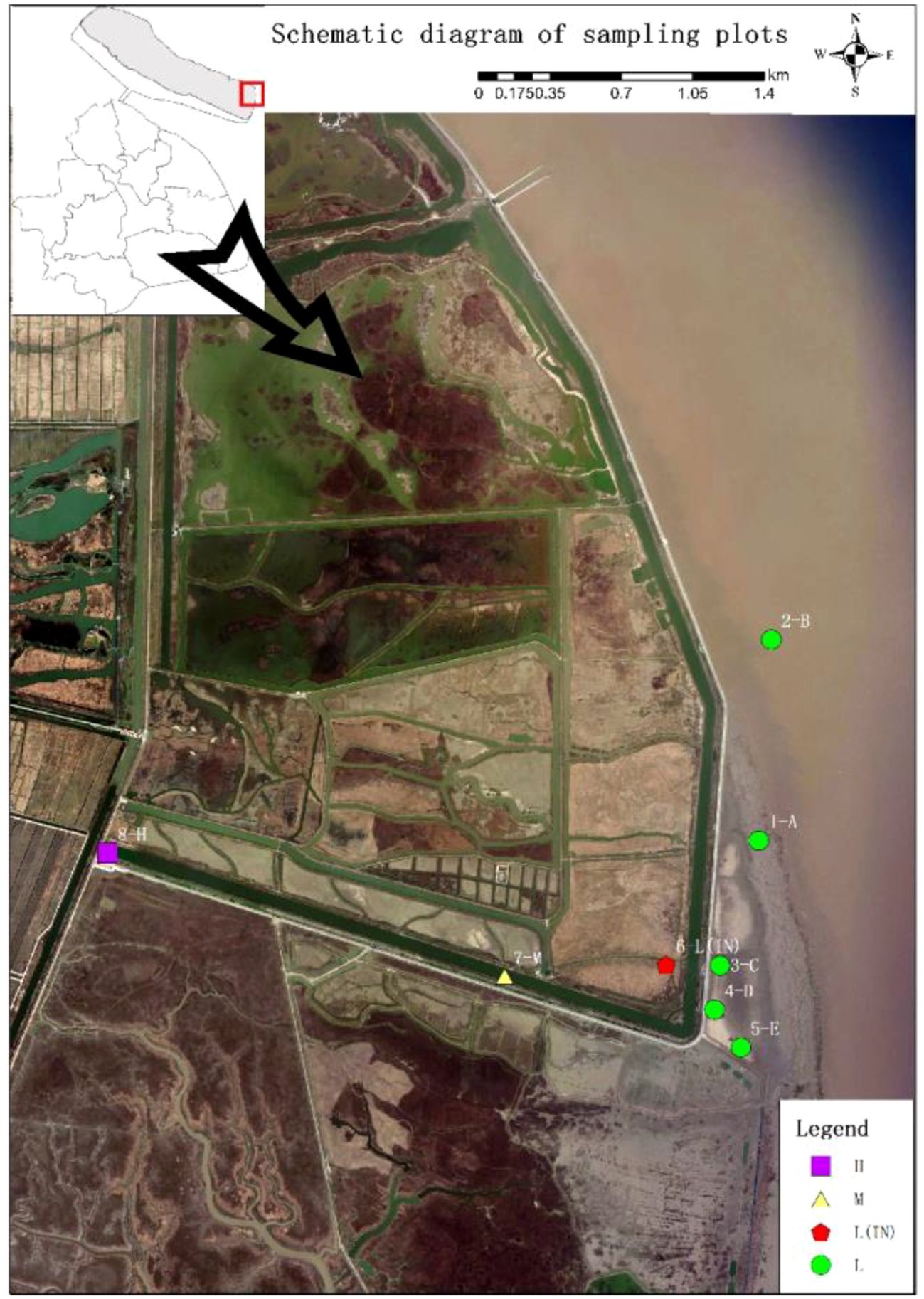 Schematic diagram showing sampling plots on a map. Various plots are marked with colored symbols: green circles labeled 1 to 5, a red hexagon labeled 6, a yellow triangle labeled 7, and a purple square labeled 8. The map includes surrounding land and water features with a location inset and a legend indicating symbols for different plots.