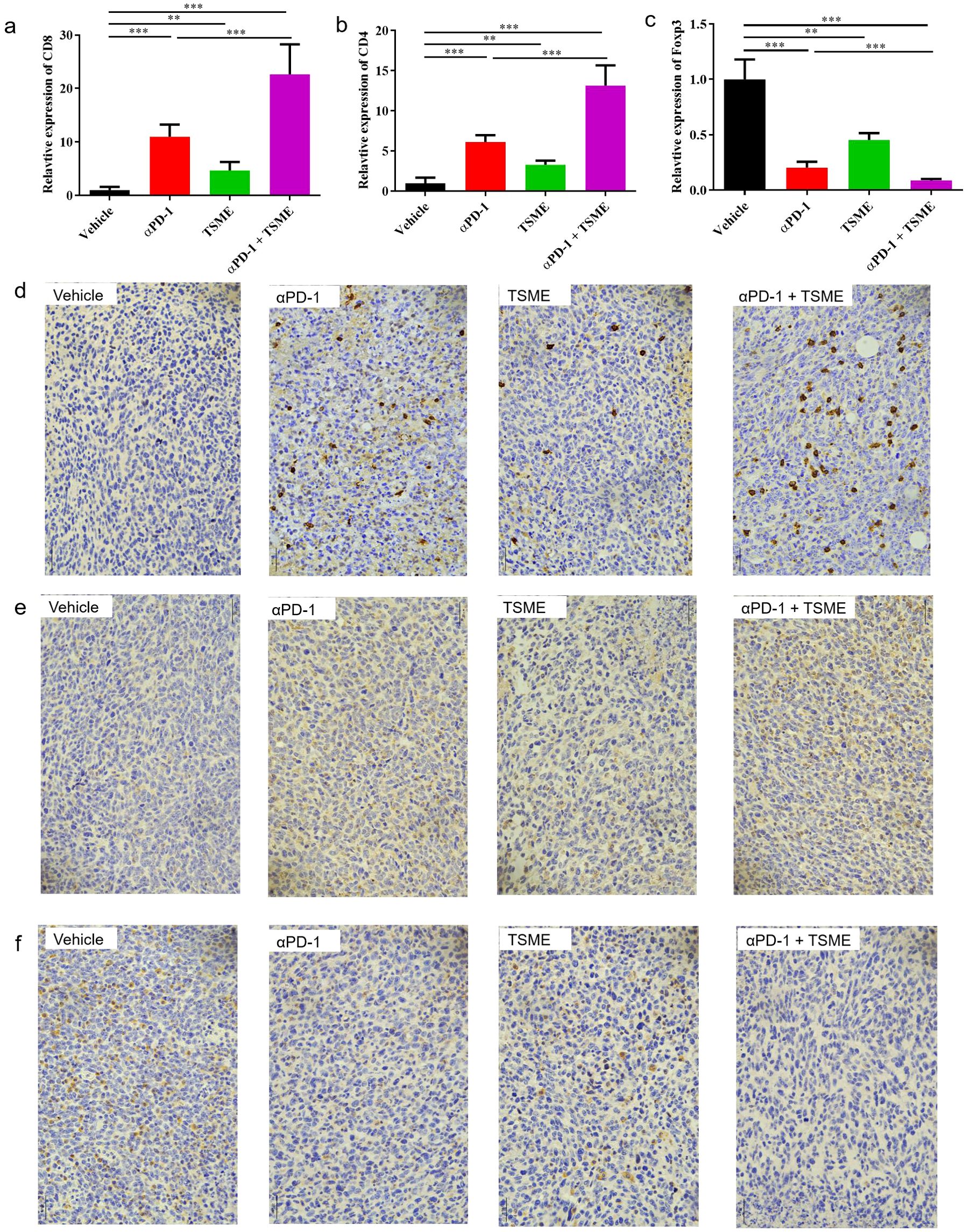 Bar graphs and microscopy images illustrate the experiment results. Graphs a, b, and c show relative expression levels of CD8, CD4, and Foxp3 across four treatment groups: Vehicle, αPD-1, TSME, and αPD-1 + TSME. Values are highest in the αPD-1 + TSME group. Microscopy images d, e, and f display tissue samples for each treatment group demonstrating cellular differences. Each set from left to right corresponds to Vehicle, αPD-1, TSME, and αPD-1 + TSME treatments, showing varied staining patterns and cell densities.