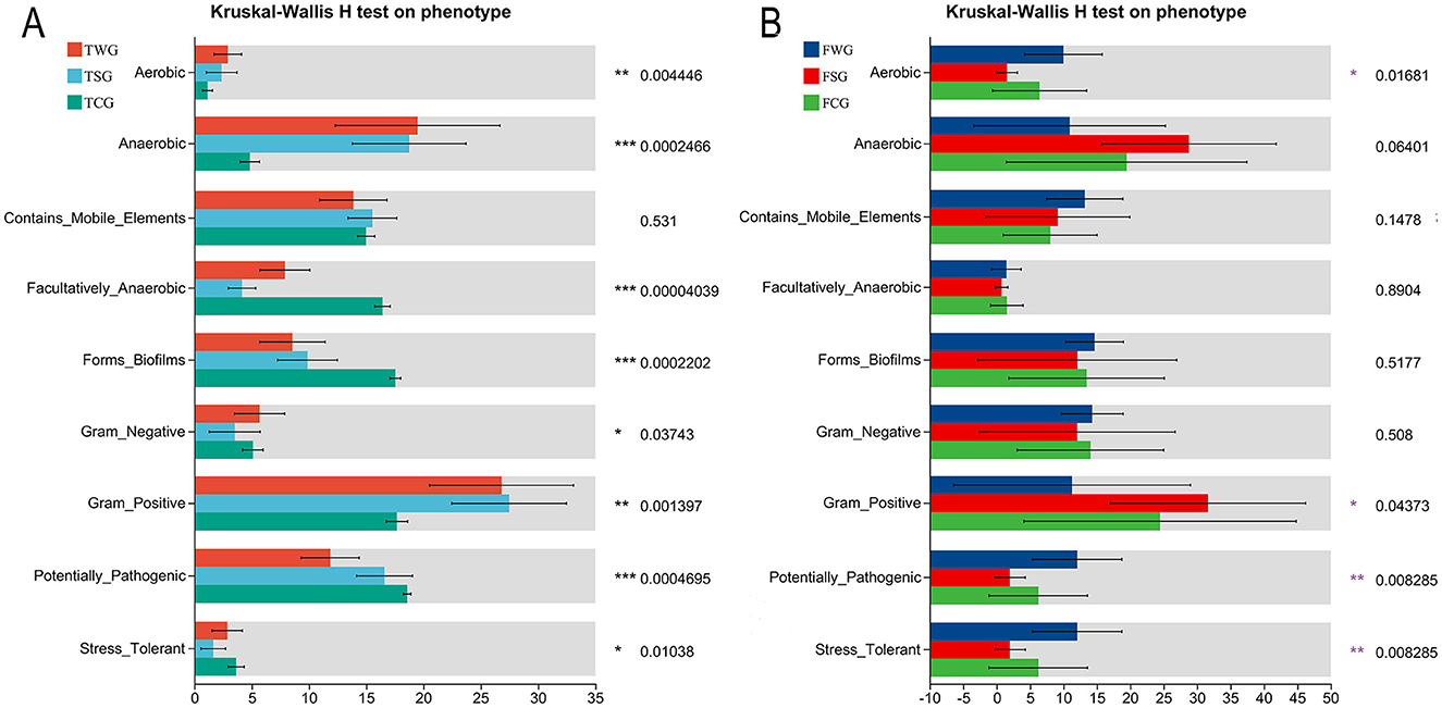 Bar charts labeled A and B illustrate the Kruskal-Wallis H test on different phenotypes. Chart A includes groups TWG, TSG, and TCG, with significant results for anaerobic, facultatively anaerobic, forms biofilms, gram positive, potentially pathogenic, and stress tolerant categories. Chart B includes groups FWG, FSG, and FCG, highlighting significant findings for aerobic, gram positive, potentially pathogenic, and stress tolerant phenotypes. Significance levels are marked by asterisks.