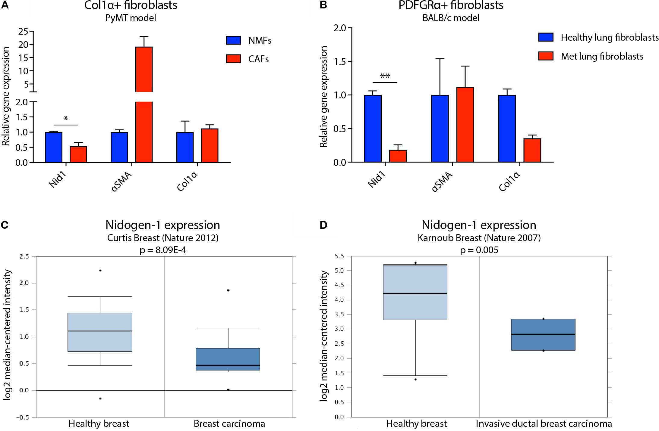 Four panels show gene expression data in bar and box plots. Panel A: Bar chart of Col1α+ fibroblasts with NMFs and CAFs. Panel B: PDFGRα+ fibroblasts for healthy and metastatic lung fibroblasts. Panel C: Box plot of Nidogen-1 expression in healthy breast vs. breast carcinoma with p-value. Panel D: Nidogen-1 expression in healthy vs. invasive ductal breast carcinoma with p-value.